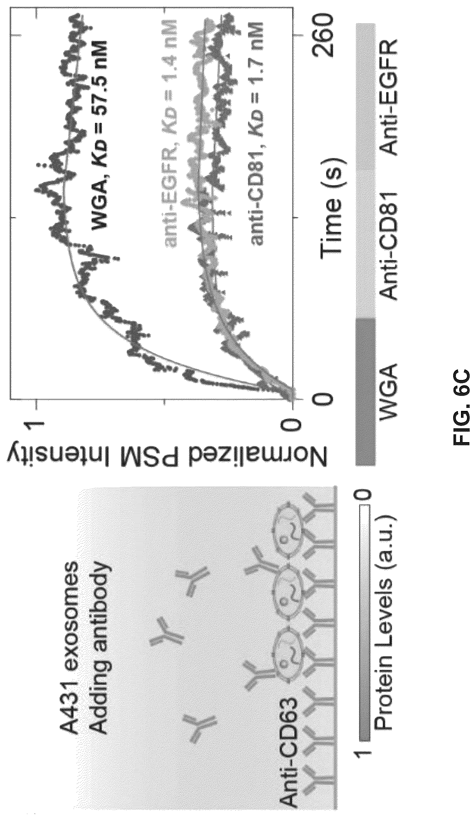Patent US12306098 Figure 15 – Methods and related aspects for analyzing exosomes