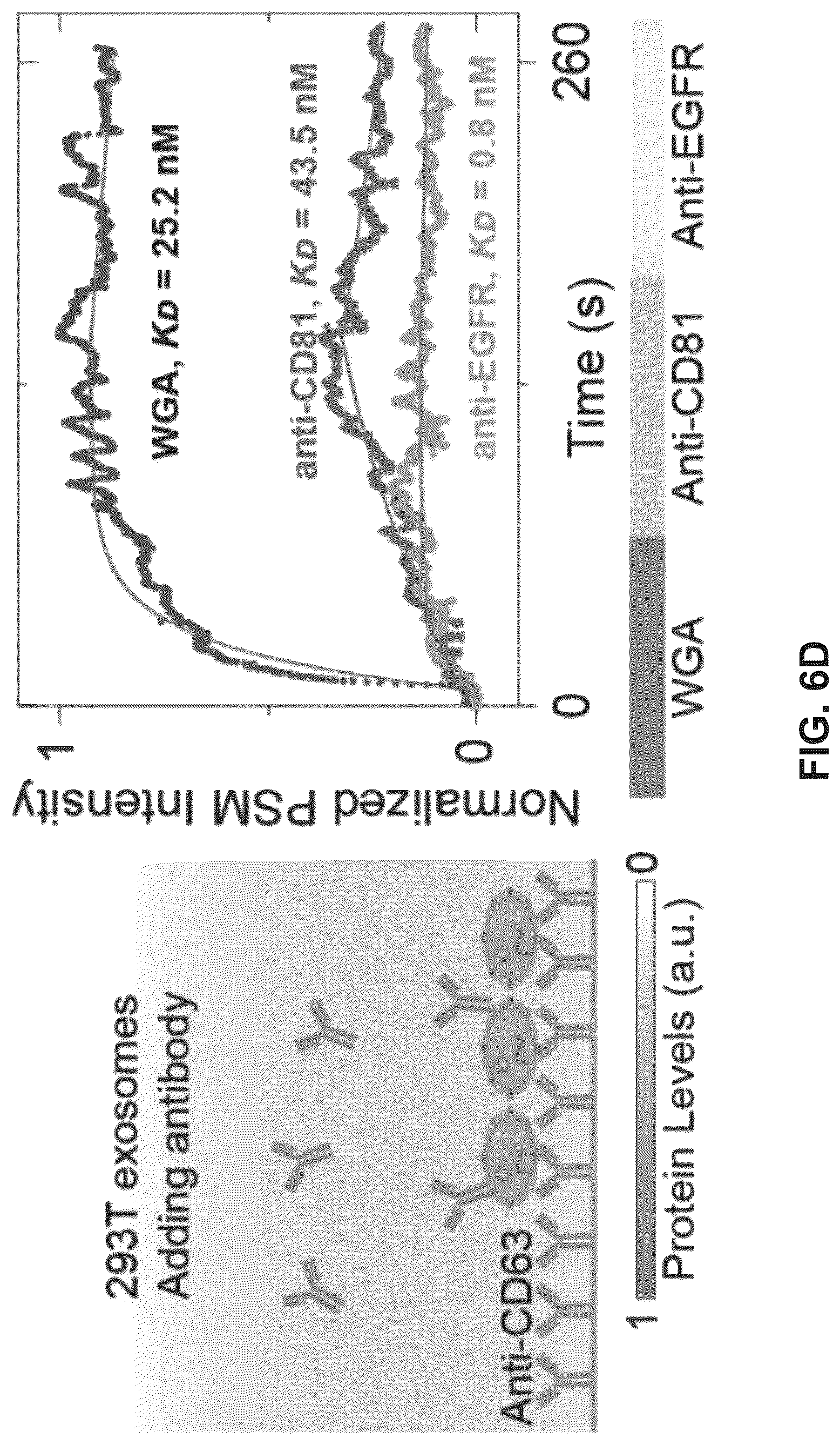 Patent US12306098 Figure 16 – Methods and related aspects for analyzing exosomes