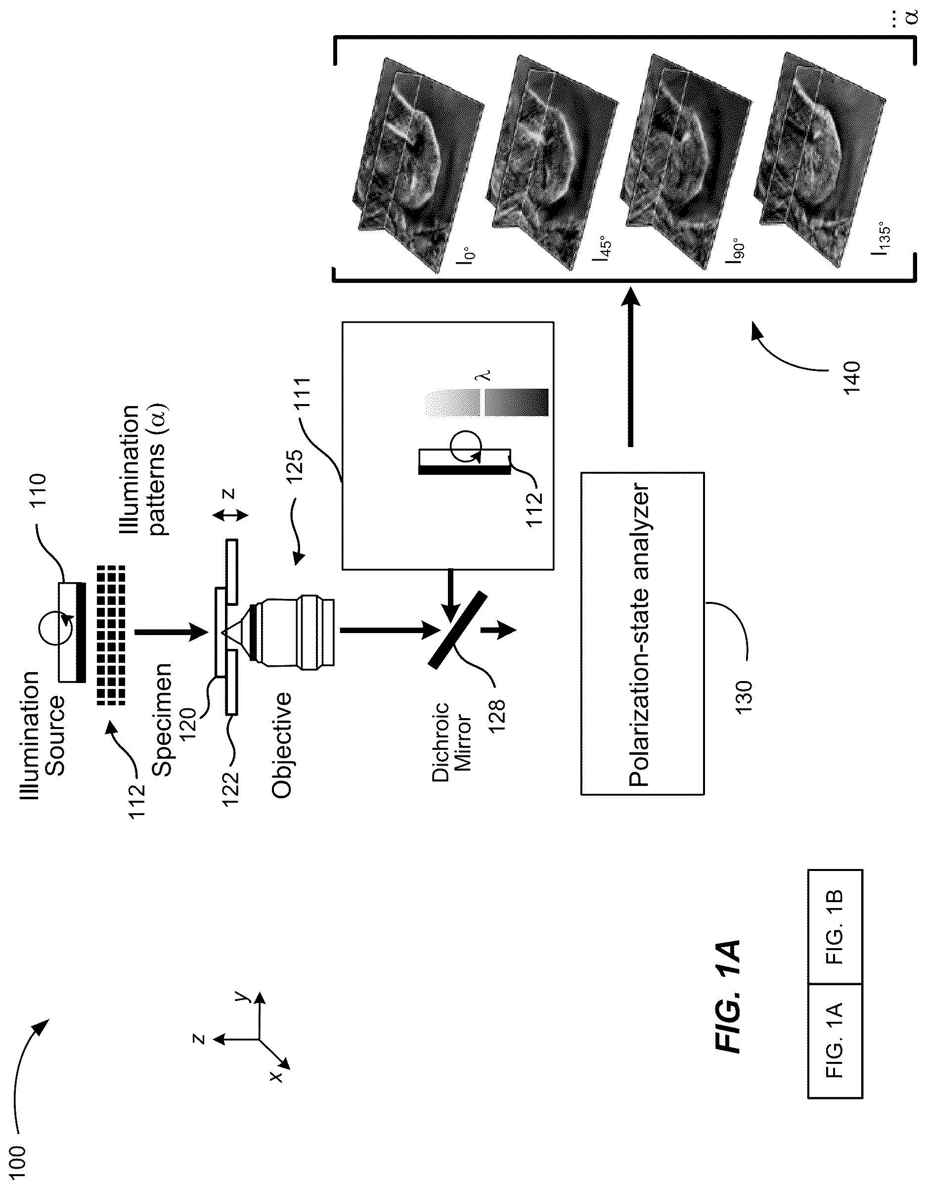 Patent US12306102 Figure 1 – Method and system for quantitative three dimensional measurement of density, anisotropy, and orientation without label