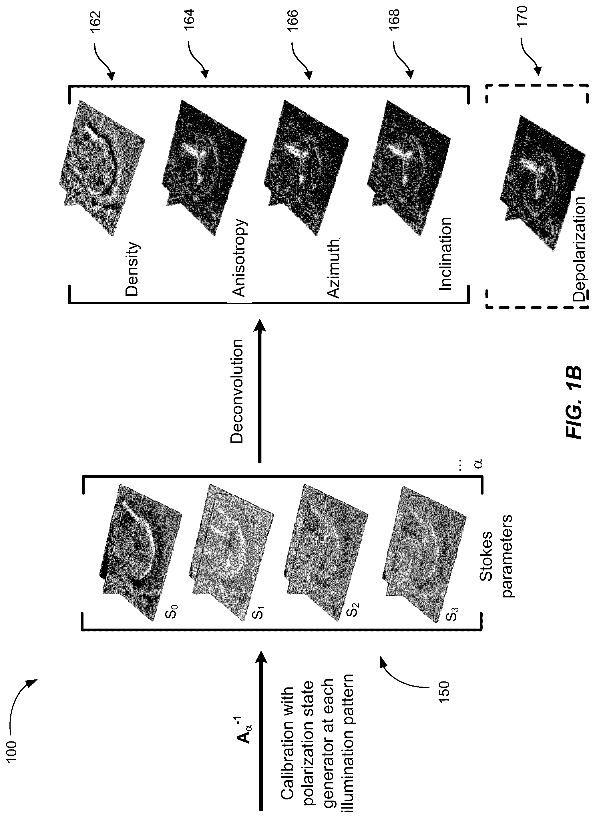 Patent US12306102 Figure 2 – Method and system for quantitative three dimensional measurement of density, anisotropy, and orientation without label