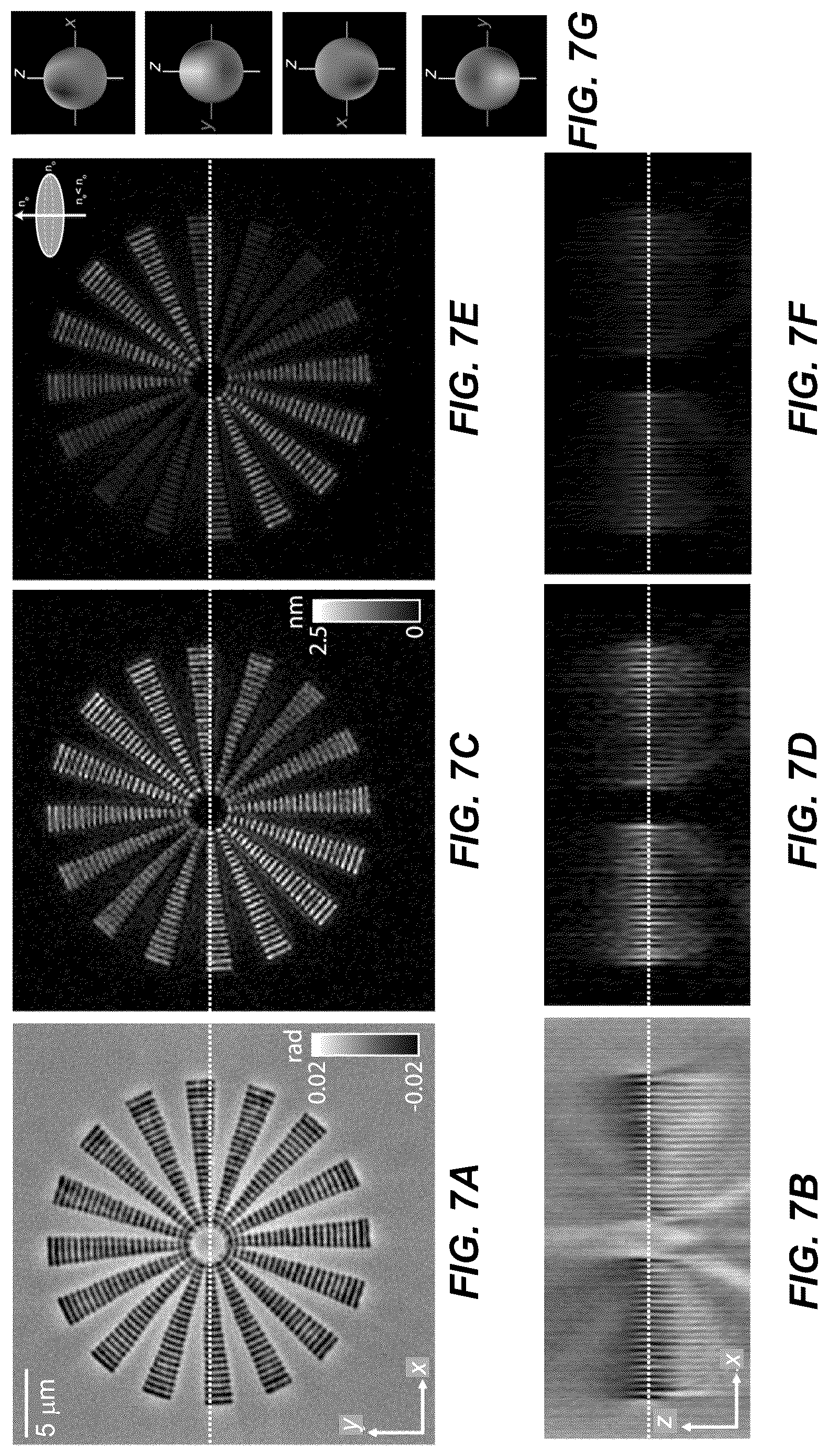 Patent US12306102 Figure 9 – Method and system for quantitative three dimensional measurement of density, anisotropy, and orientation without label