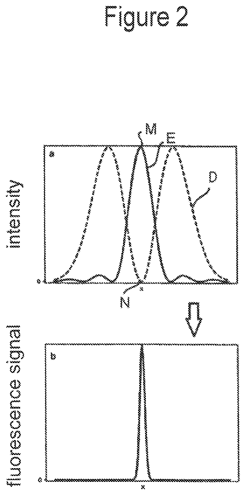 Patent US12306103 Figure 2 – Fluorescence microscope and method for imaging a sample