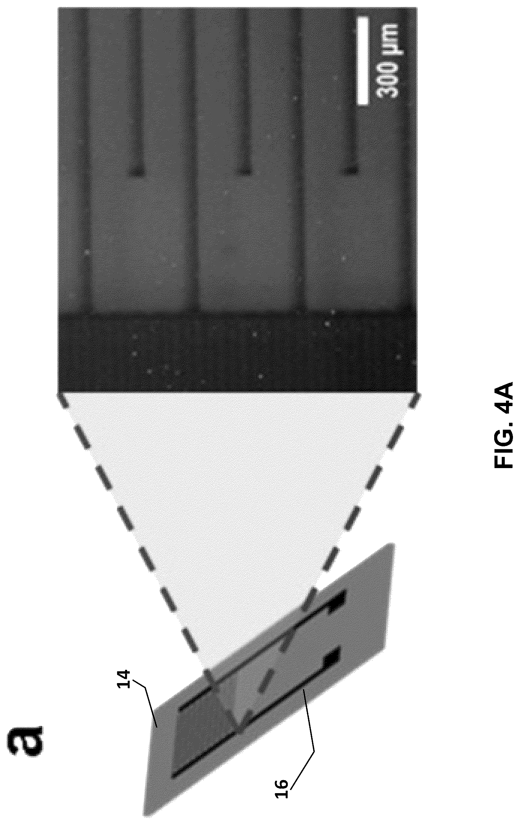 Patent US12306132 Figure 8 – Aerosol jet printed flexible graphene circuits for electrochemical sensing and biosensing
