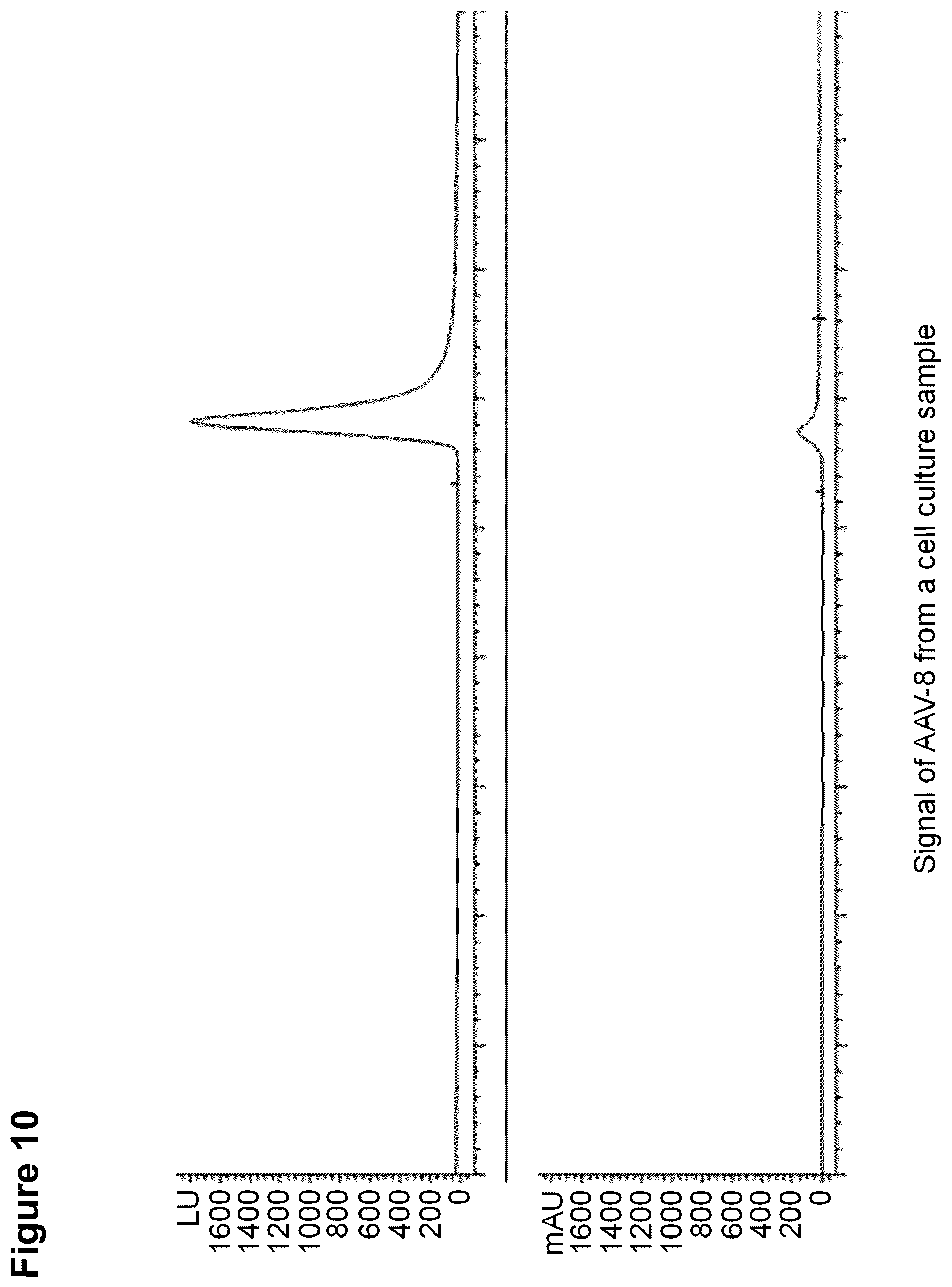 Patent US12306149 Figure 10 – Method for the detection and quantification of adeno-associated viruses (AAVs) using an affinity matrix