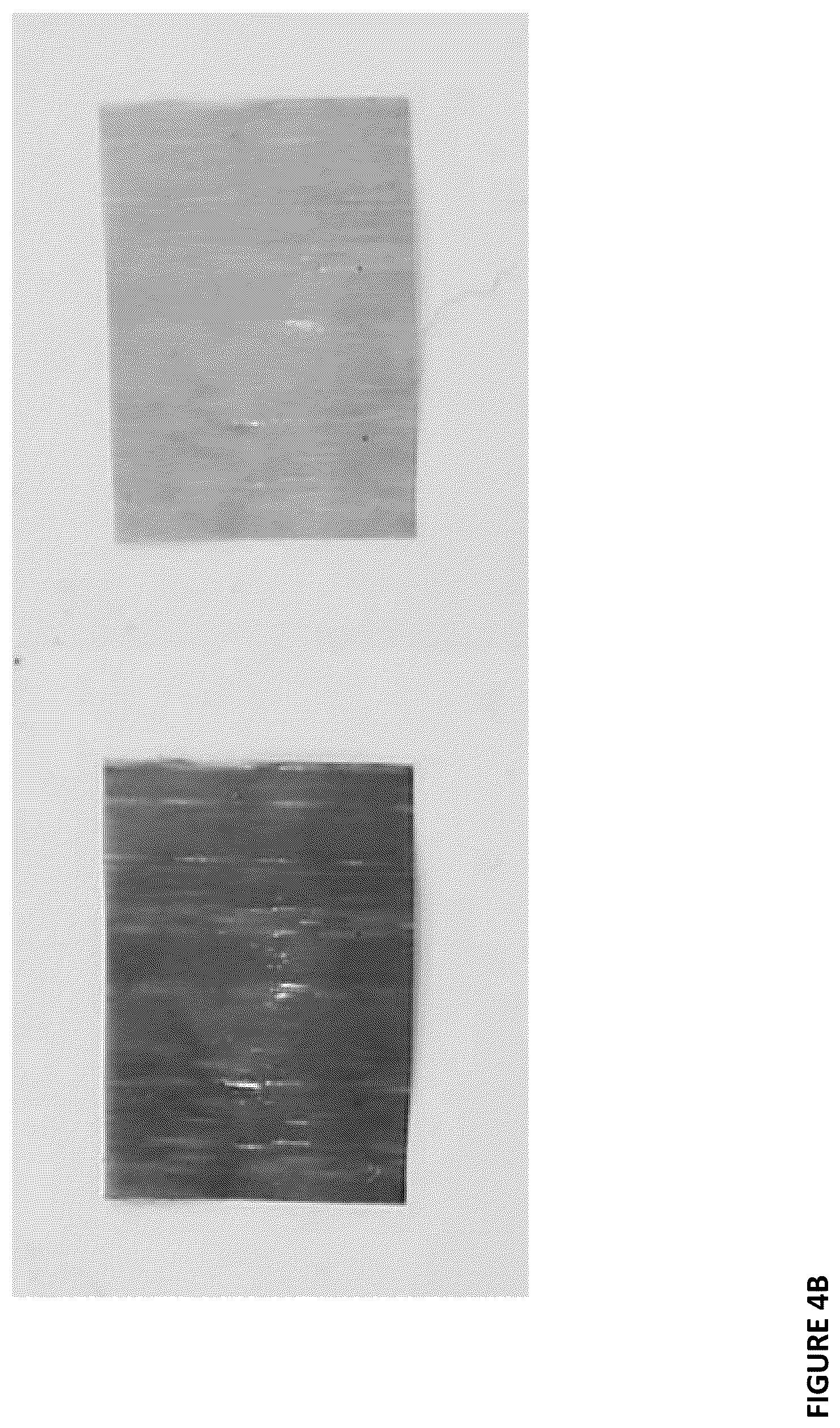 Patent US12306154 Figure 5 – Meltable color changeable indicators with organic polymer cores and methods of making such meltable indicators and composites thereof