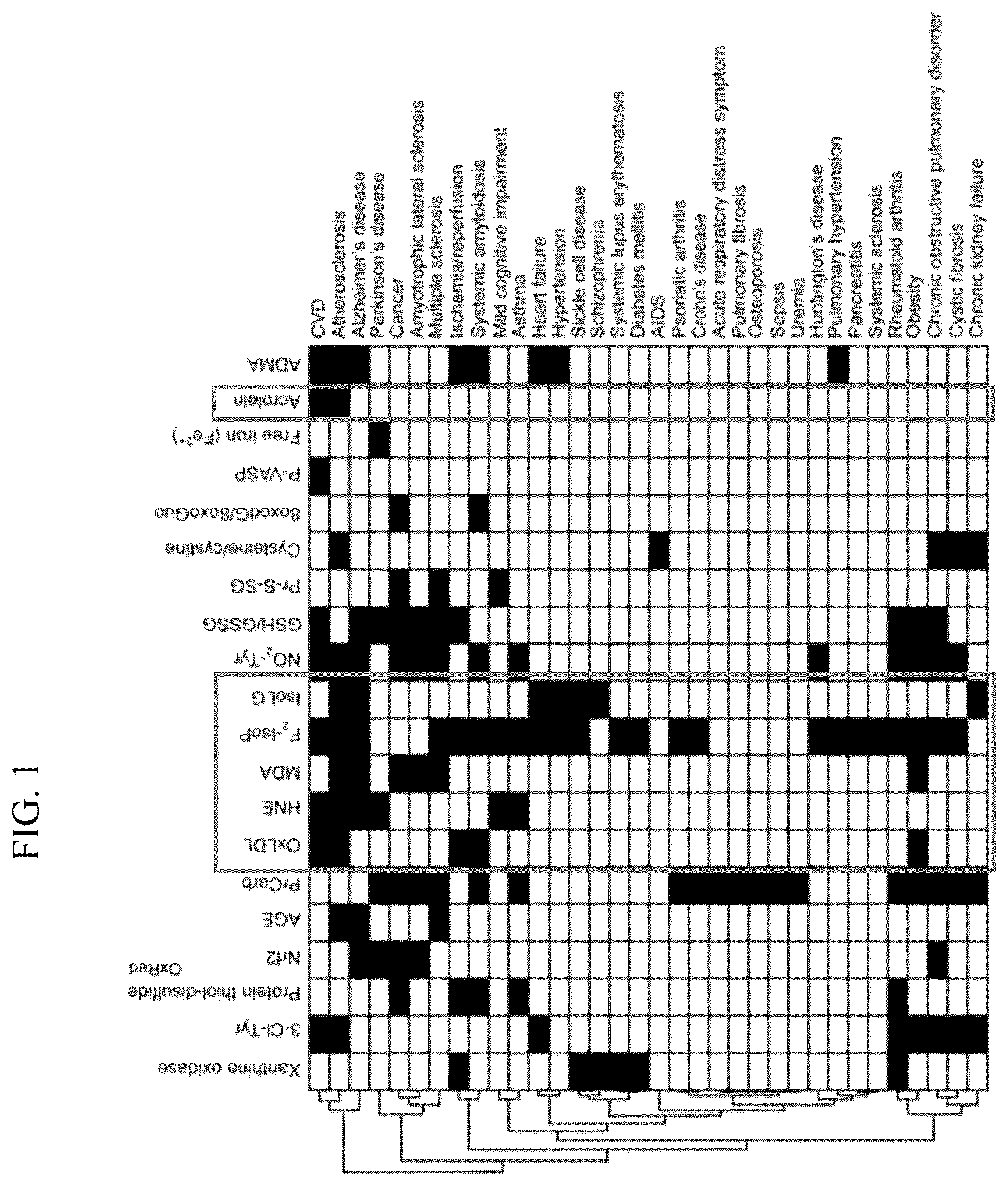 Patent US12306164 Figure 1 – Therapeutic drug for lipid-peroxidation-induced diseases and screening method for therapeutic drugs for lipid-peroxidation-induced diseases