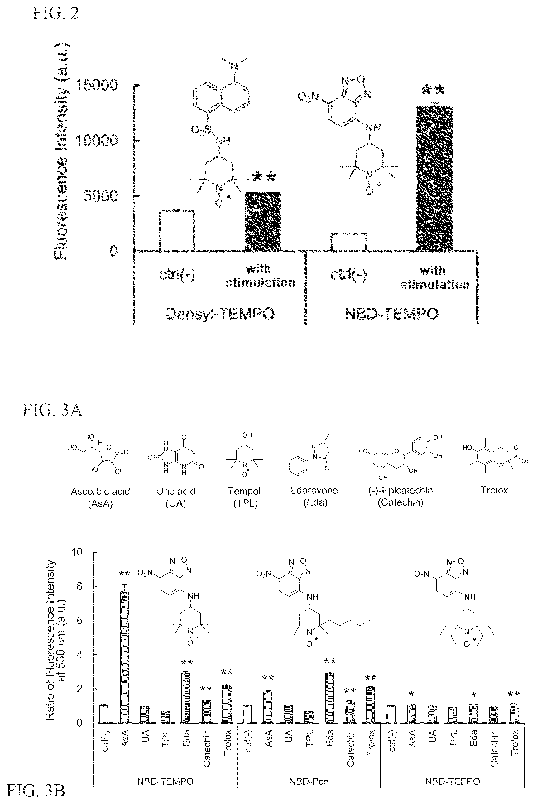 Patent US12306164 Figure 2 – Therapeutic drug for lipid-peroxidation-induced diseases and screening method for therapeutic drugs for lipid-peroxidation-induced diseases