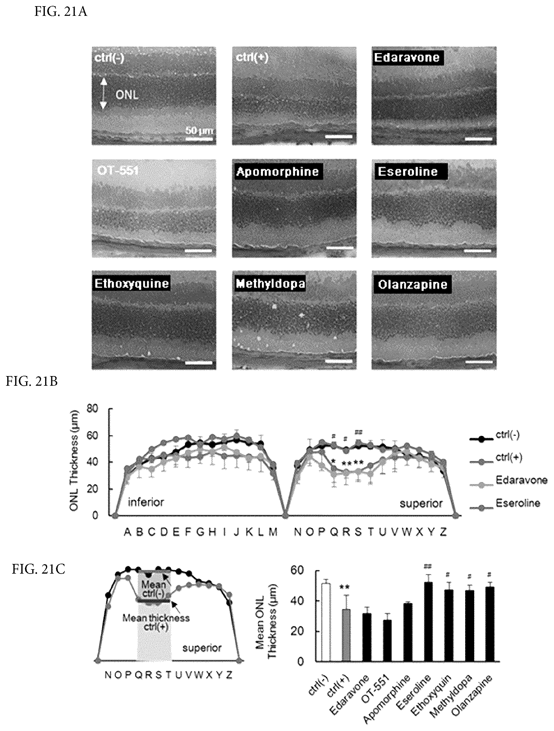 Patent US12306164 Figure 17 – Therapeutic drug for lipid-peroxidation-induced diseases and screening method for therapeutic drugs for lipid-peroxidation-induced diseases