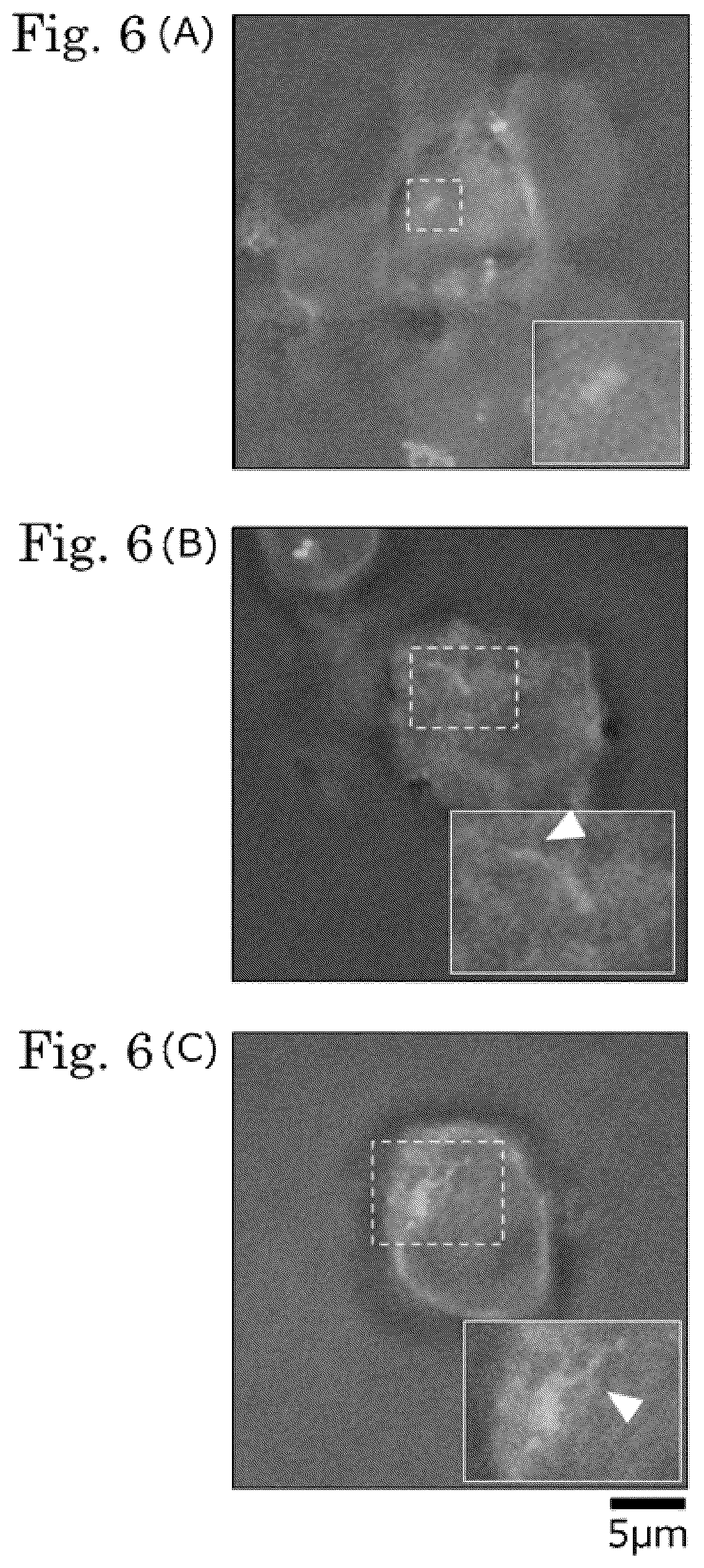 Patent US12306171 Figure 6 – Method for detecting indicator of immune-related disease