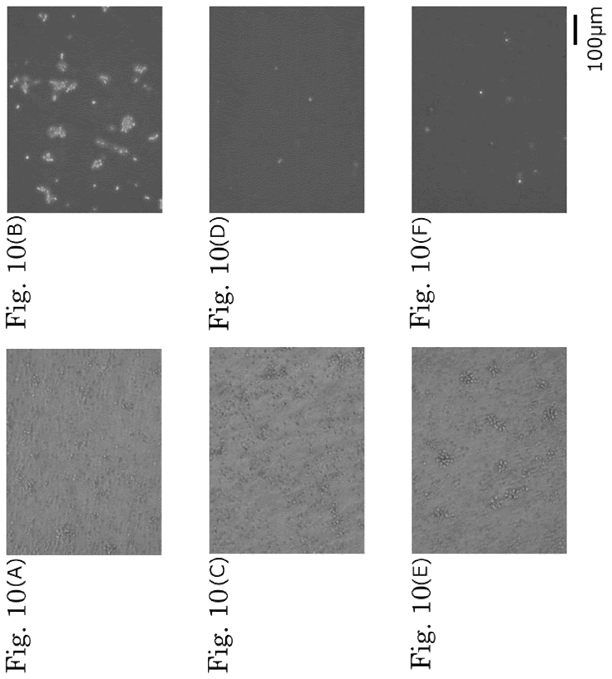 Patent US12306171 Figure 10 – Method for detecting indicator of immune-related disease