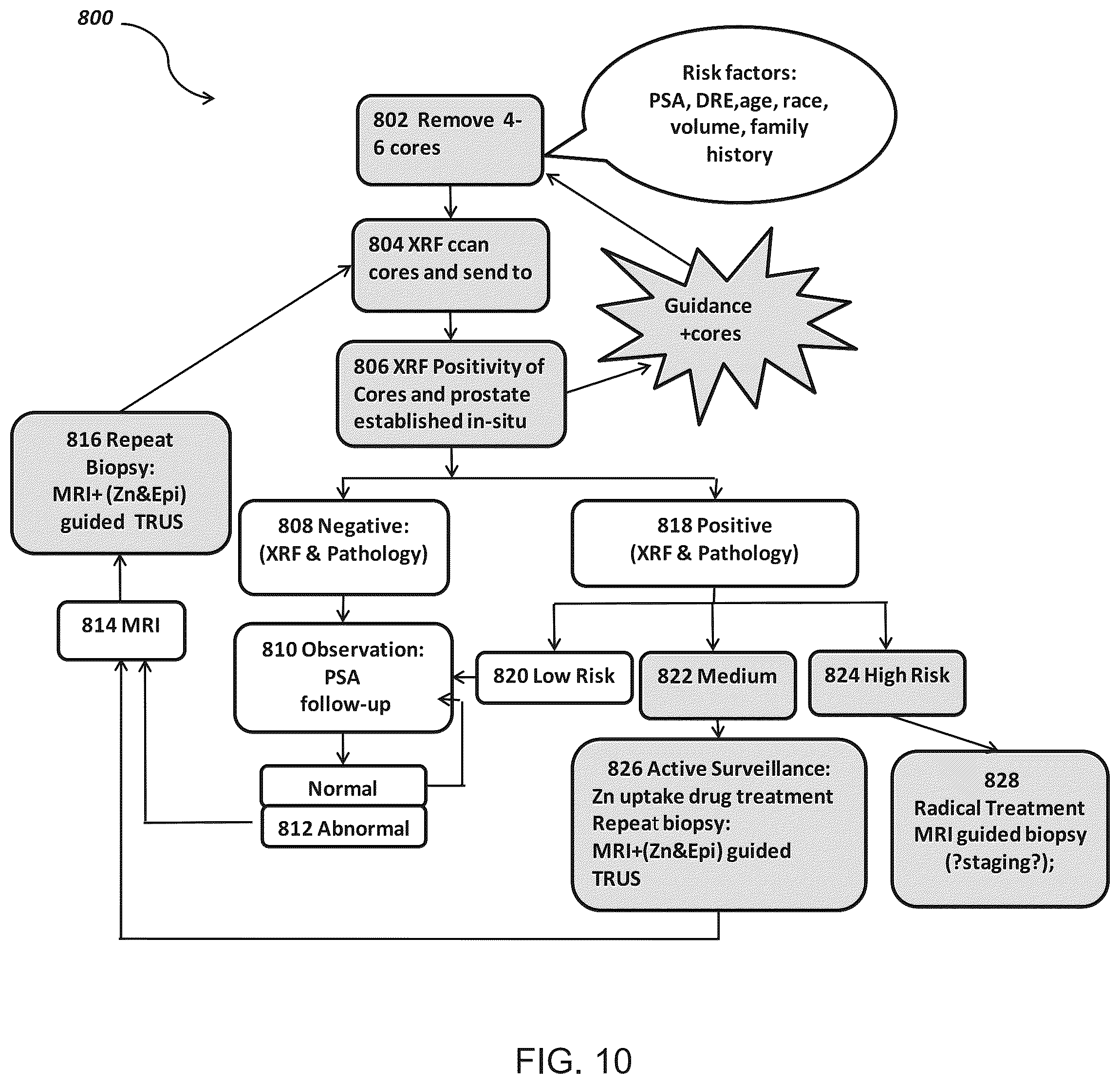 Patent US12306172 Figure 10 – Method and system for analyzing prostate biopsy