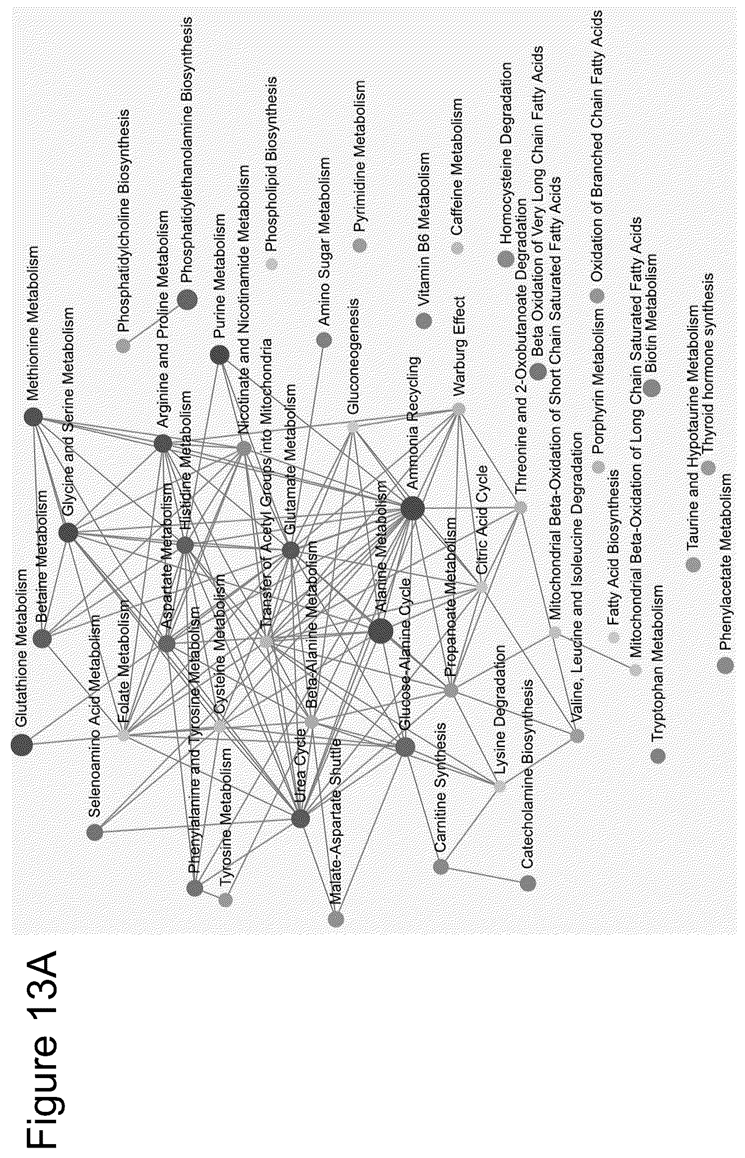 Patent US12306175 Figure 17 – Biomarkers for detection and treatment assessment of infectious diseases and disorders