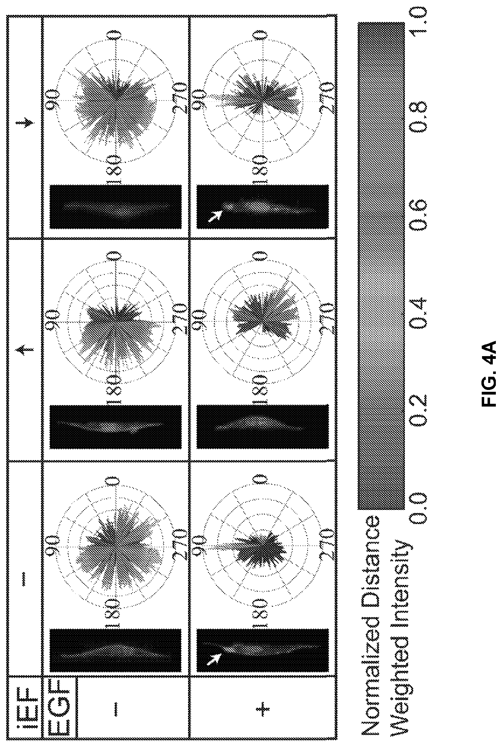 Patent US12306176 Figure 8 – Microfluidic bi-directional migration assay