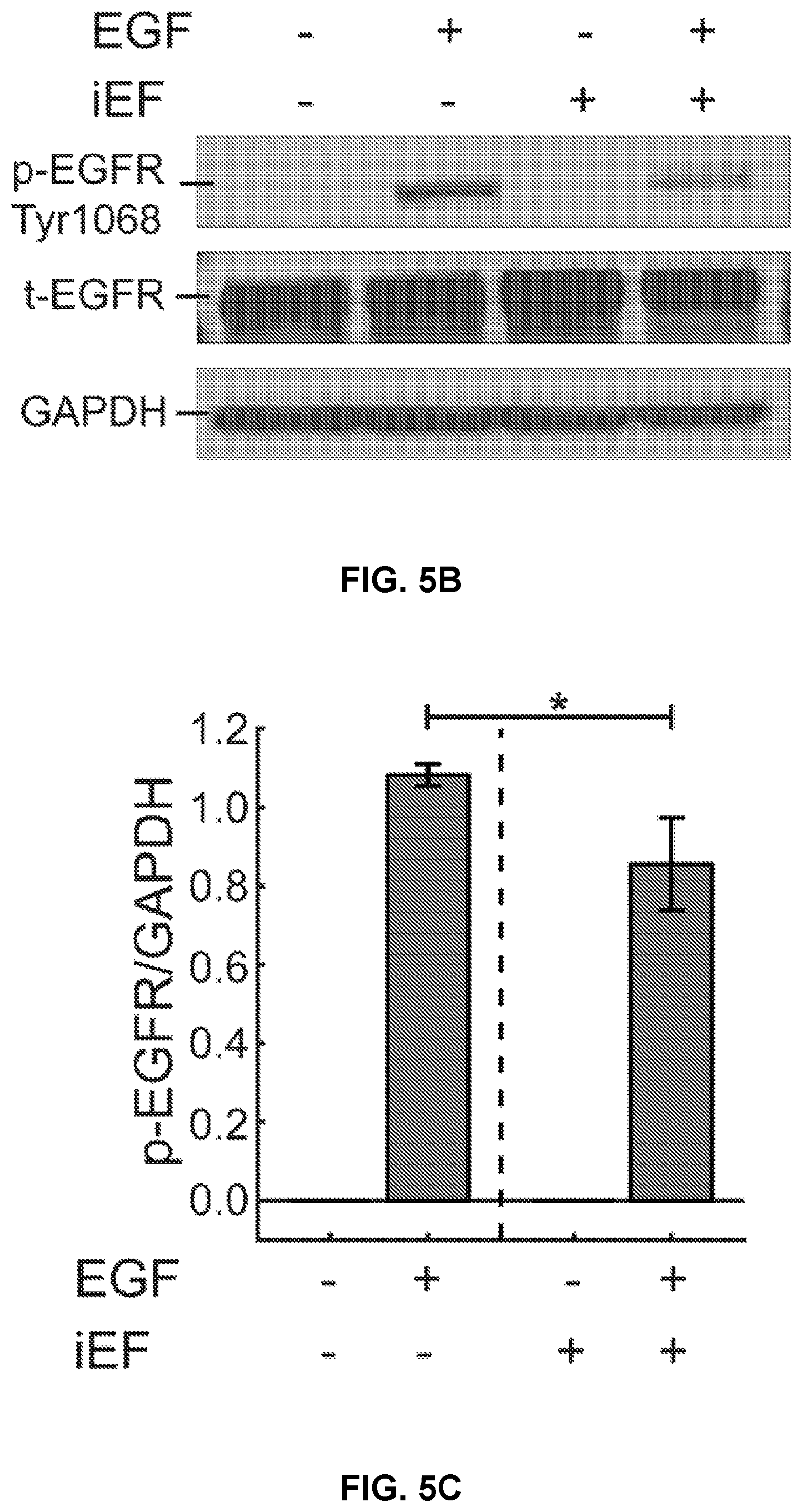 Patent US12306176 Figure 11 – Microfluidic bi-directional migration assay
