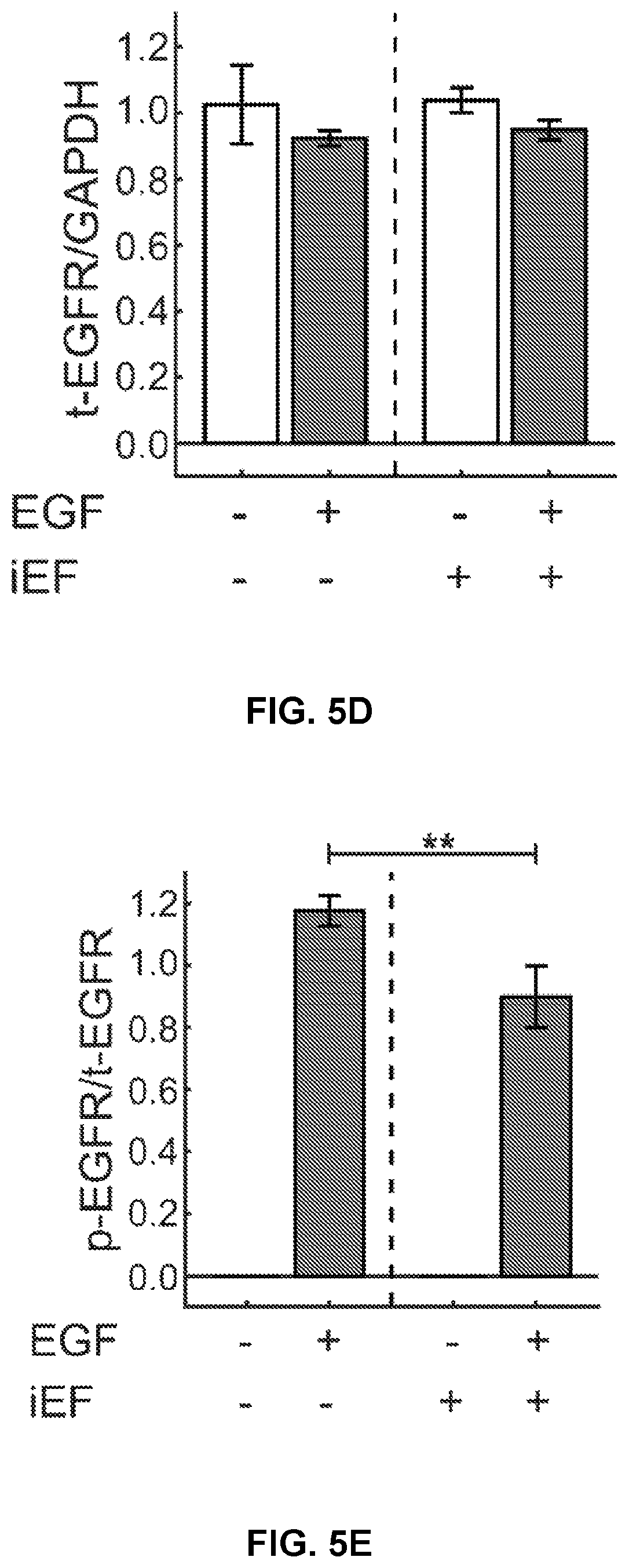 Patent US12306176 Figure 12 – Microfluidic bi-directional migration assay