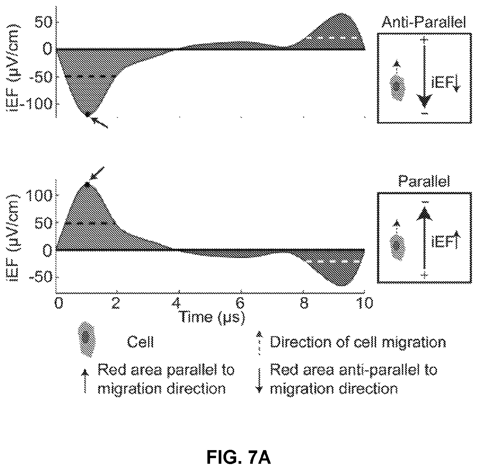 Patent US12306176 Figure 14 – Microfluidic bi-directional migration assay