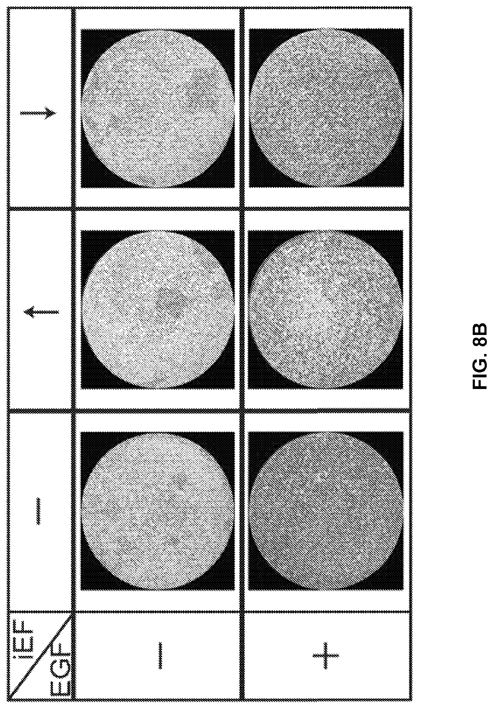 Patent US12306176 Figure 17 – Microfluidic bi-directional migration assay