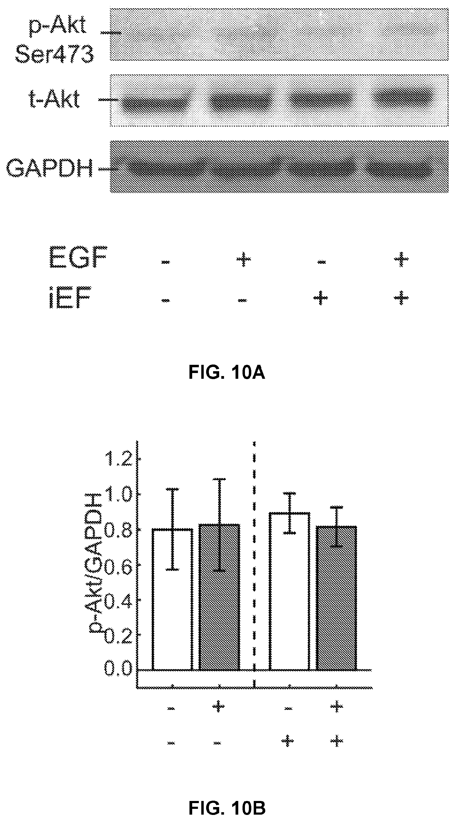 Patent US12306176 Figure 19 – Microfluidic bi-directional migration assay