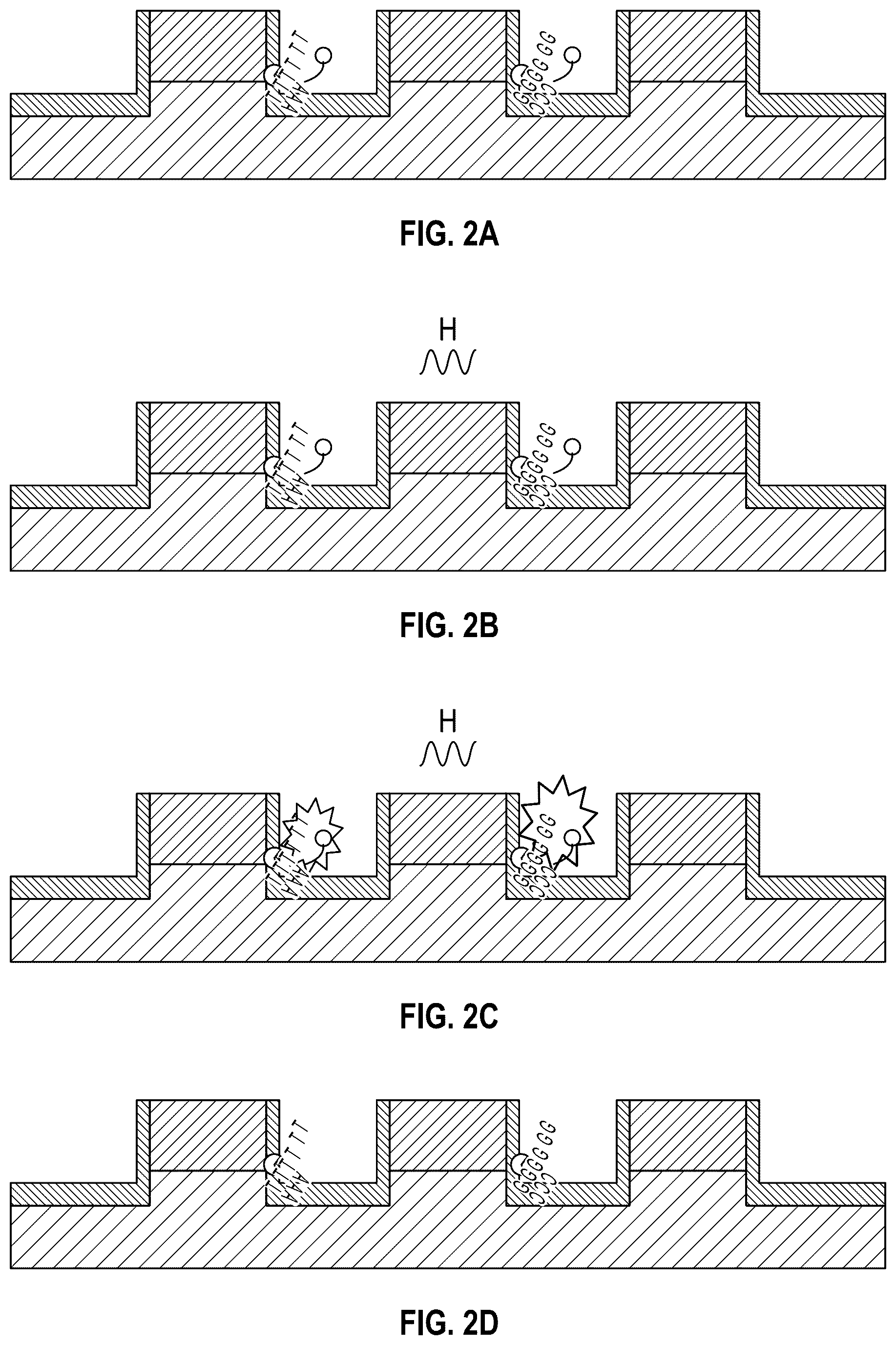 Patent US12306179 Figure 2 – Thermal sensor array for molecule detection and related detection schemes