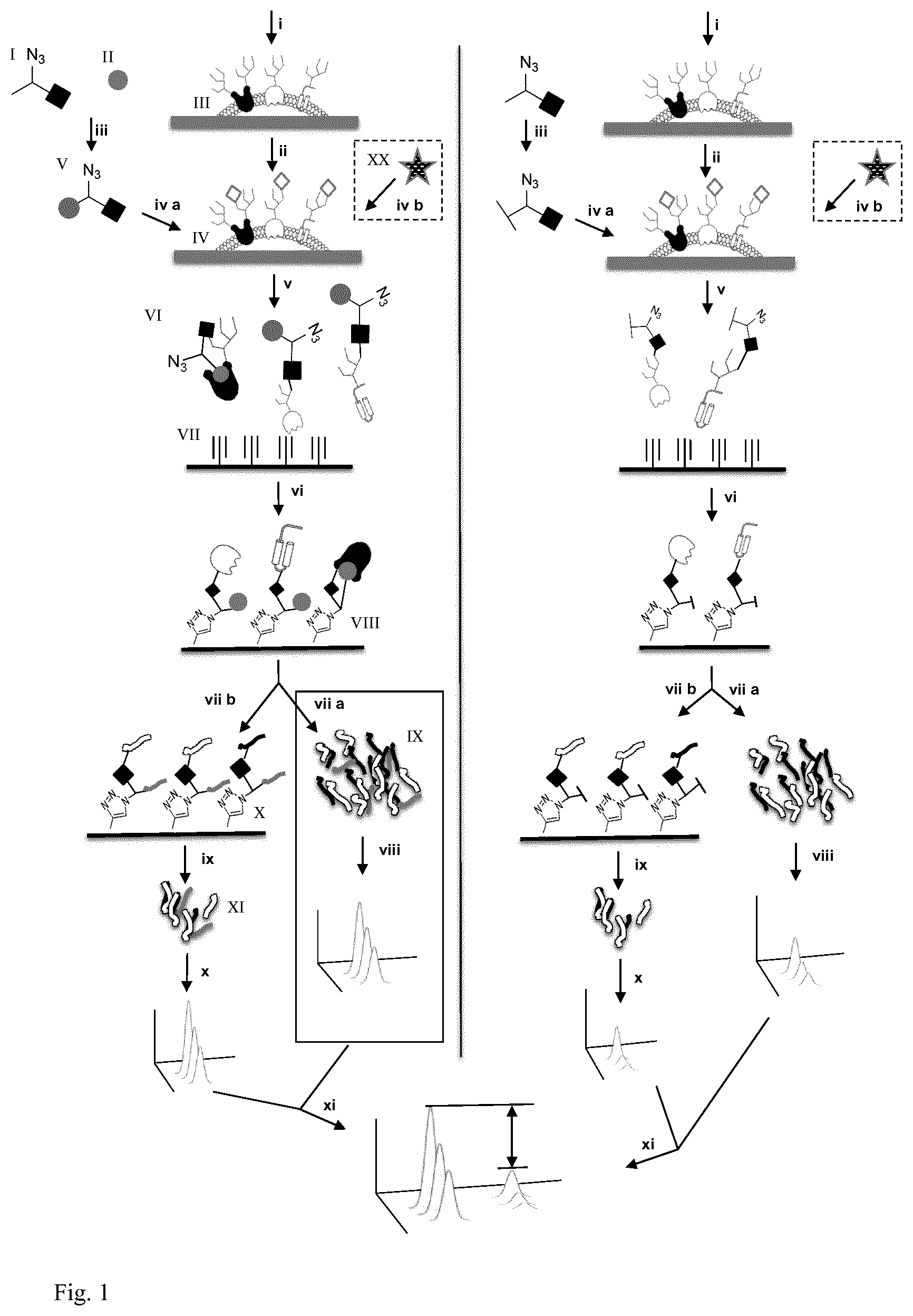 Patent US12306180 Figure 1 – Tri-functional crosslinking reagents