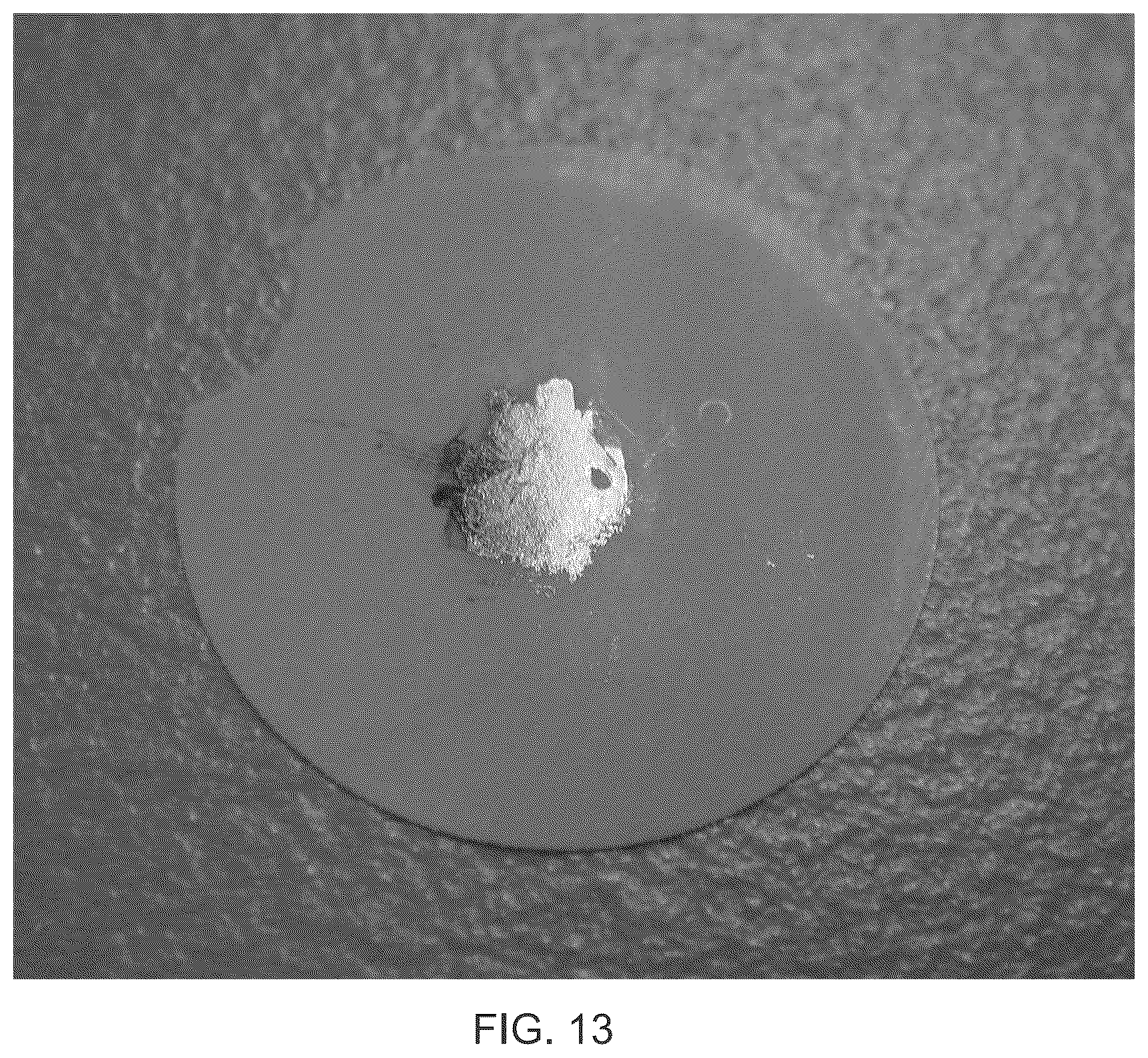 Patent US12306181 Figure 15 – Self-referencing sensor for chemical detection