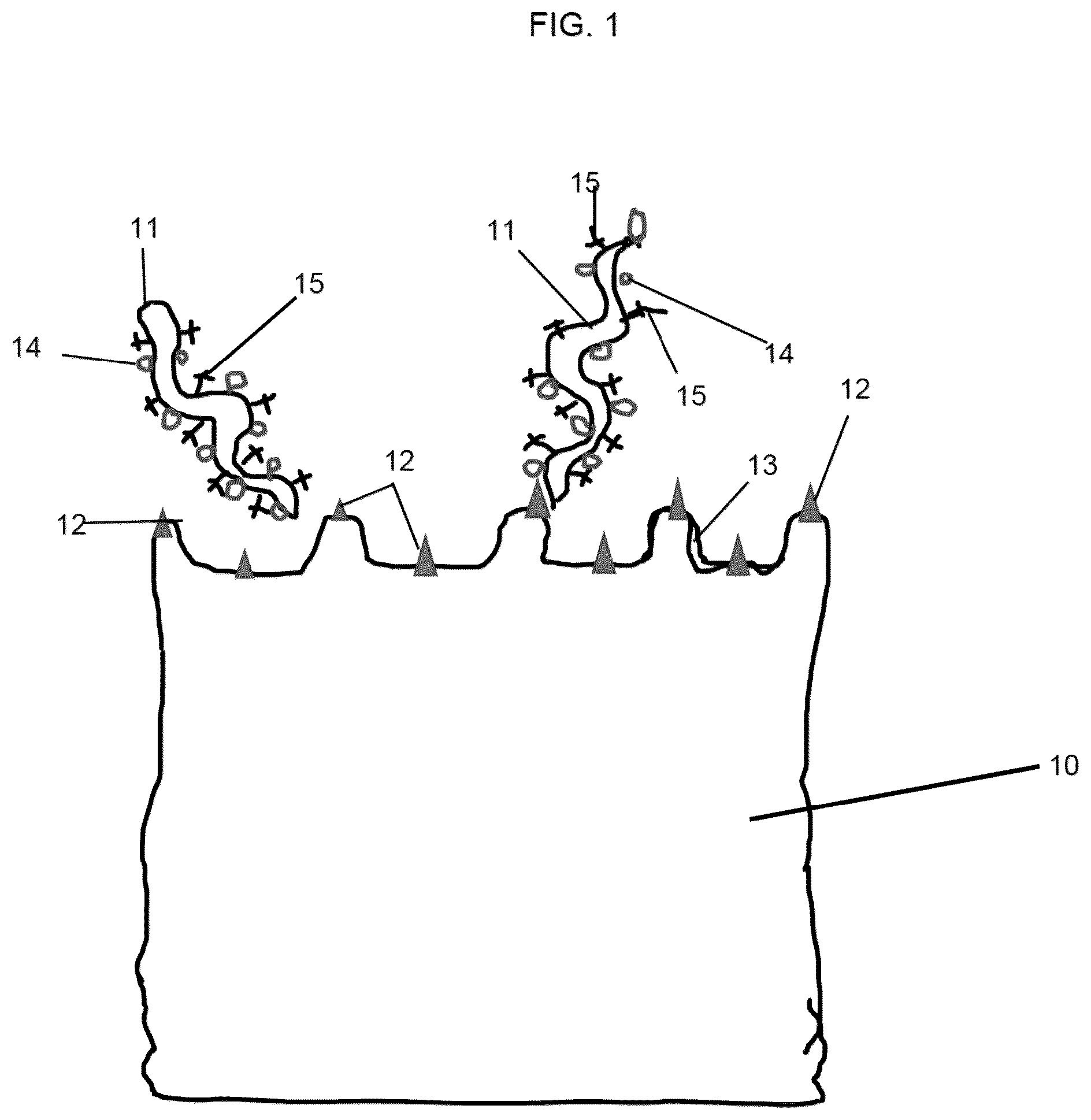 Patent US12306186 Figure 1 – Live tests for diagnosis of transmissible spongiform encephalopathy in animals and humans