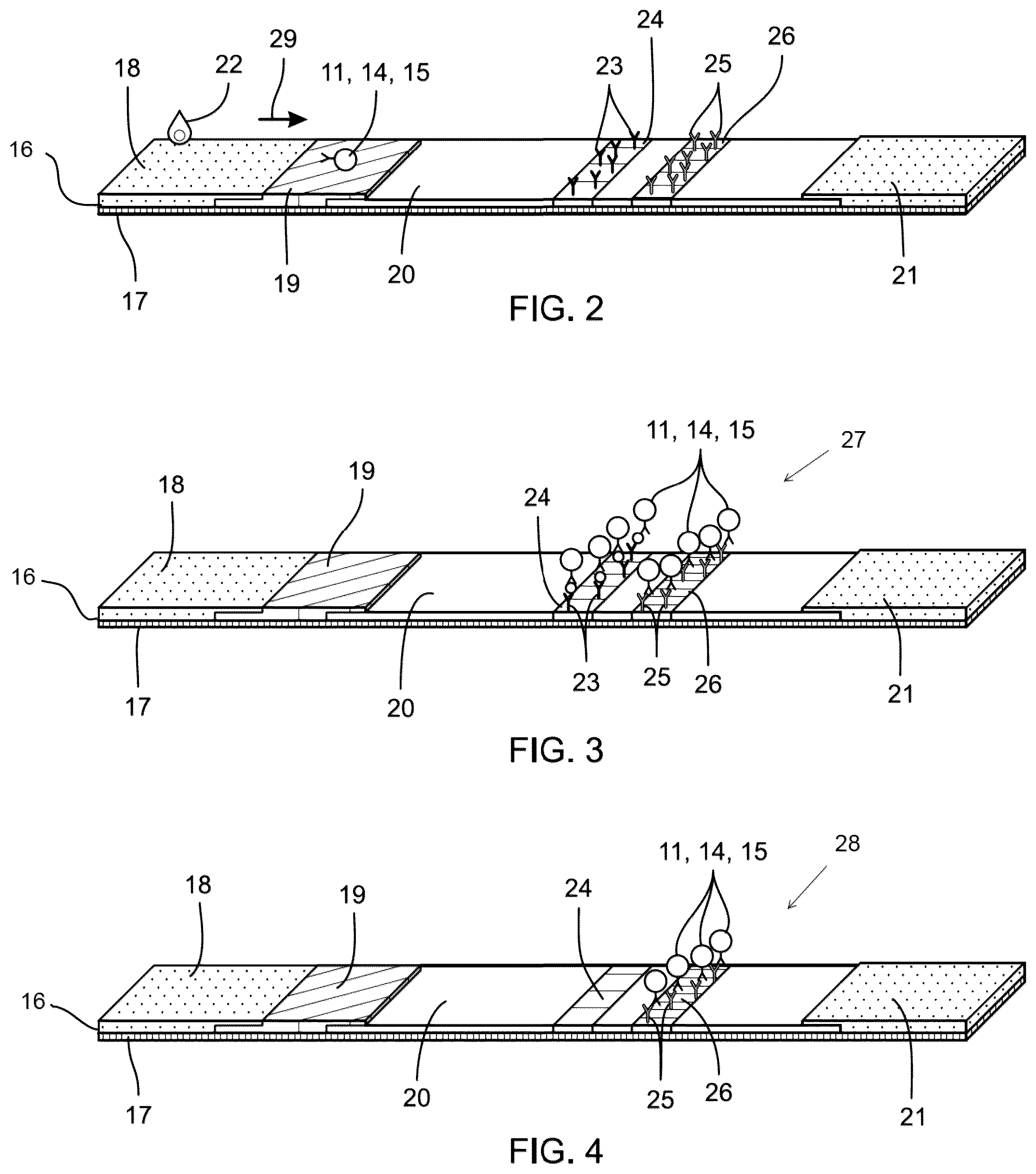 Patent US12306186 Figure 2 – Live tests for diagnosis of transmissible spongiform encephalopathy in animals and humans