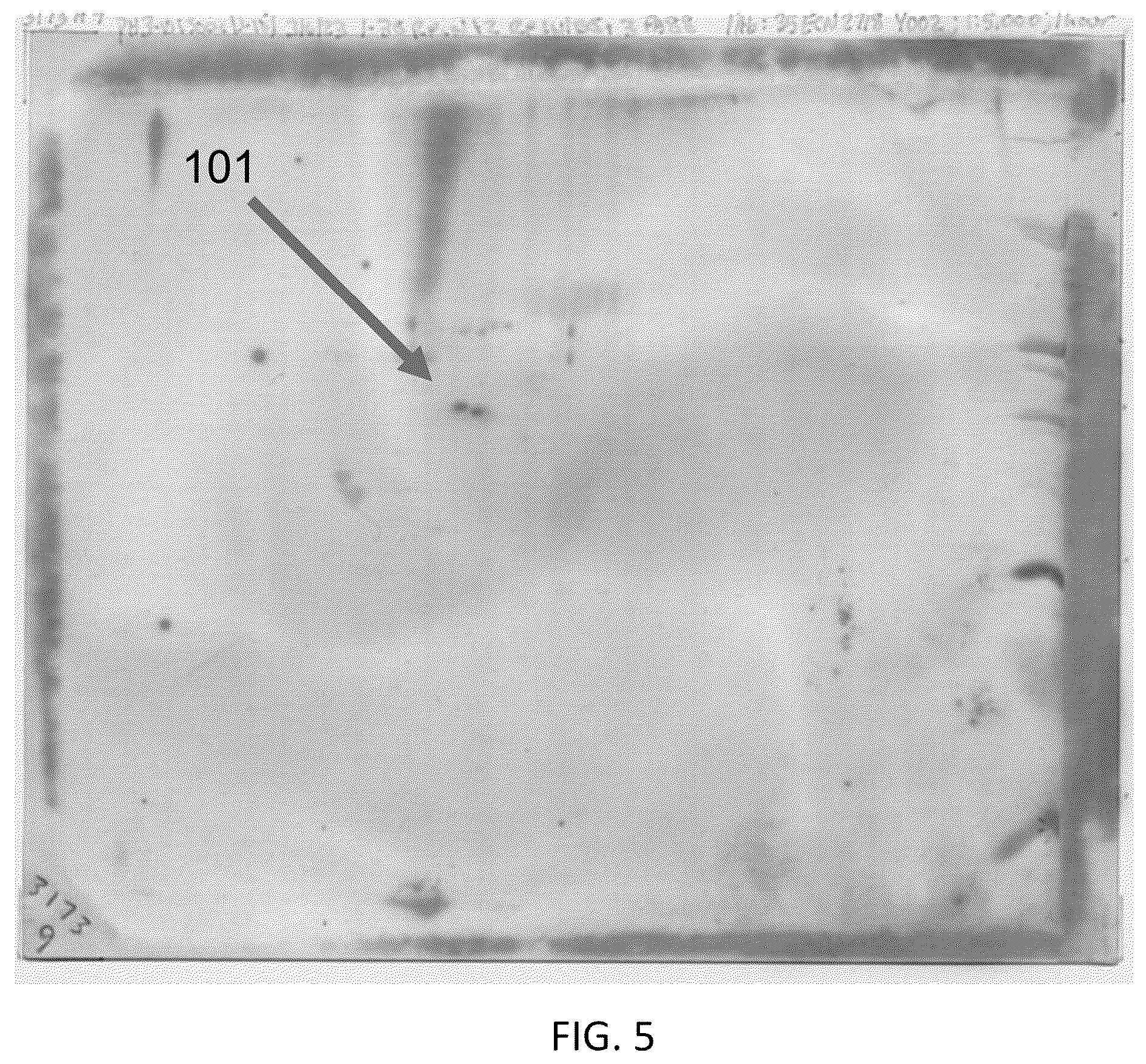 Patent US12306186 Figure 3 – Live tests for diagnosis of transmissible spongiform encephalopathy in animals and humans