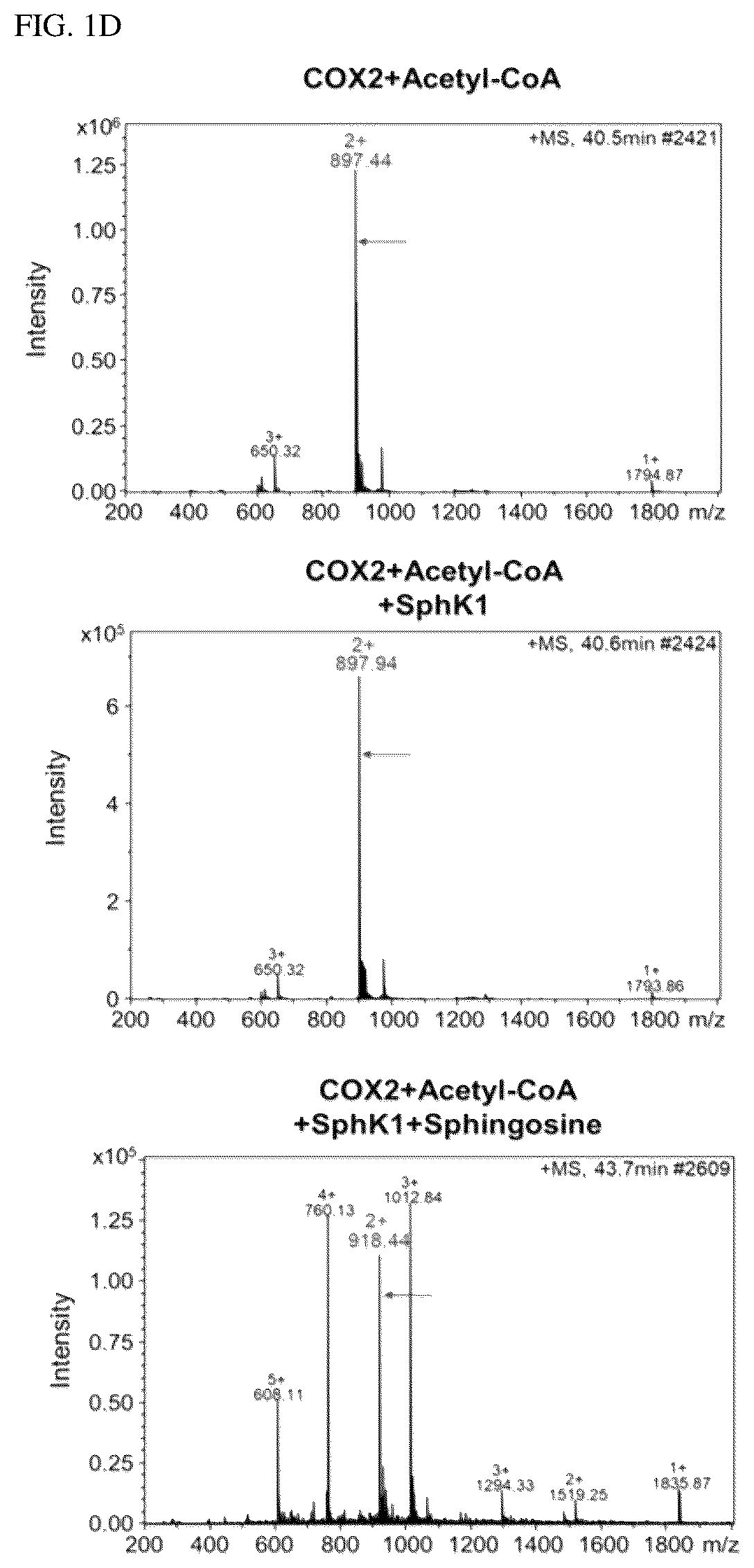 Patent US12306191 Figure 3 – Composition for diagnosis of degenerative neurological diseases