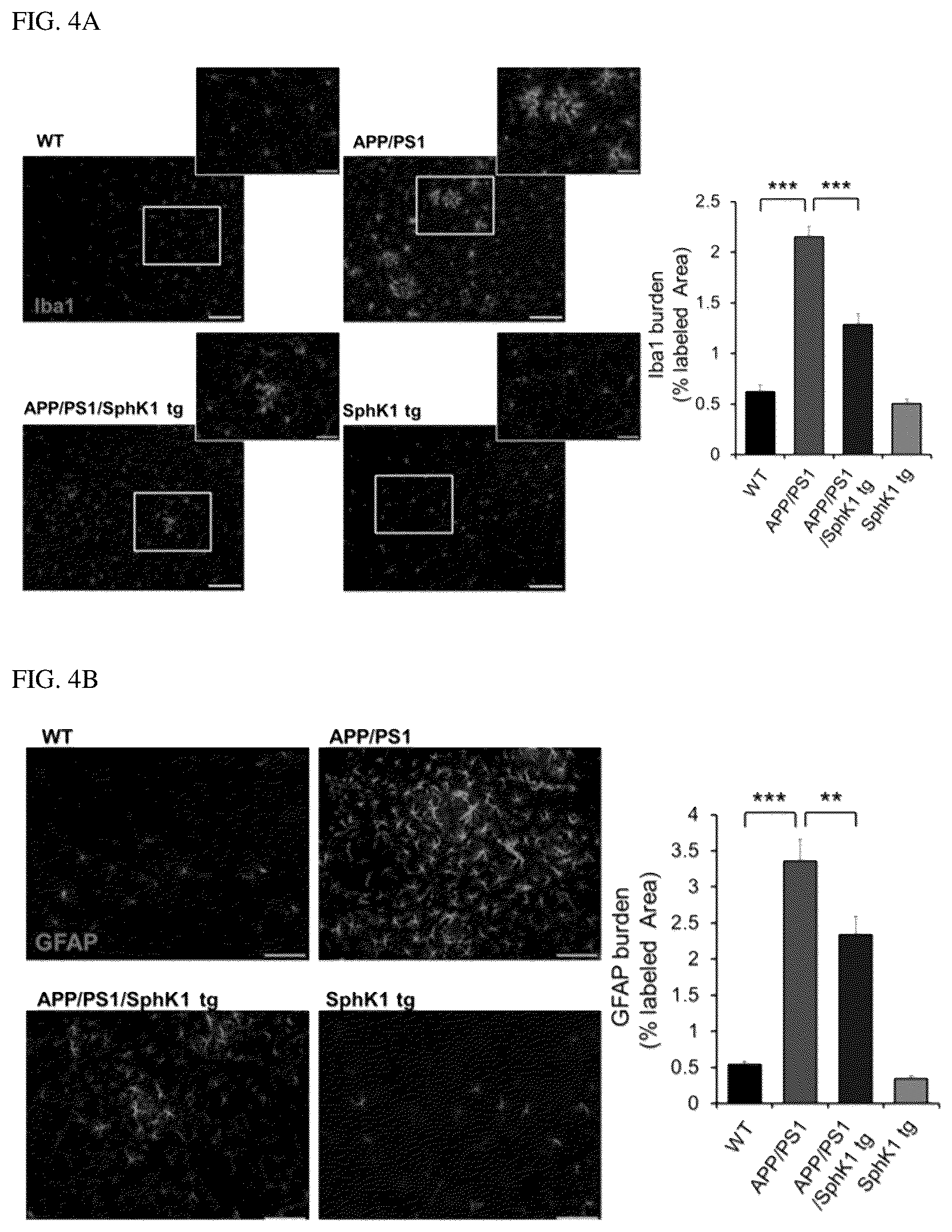 Patent US12306191 Figure 10 – Composition for diagnosis of degenerative neurological diseases