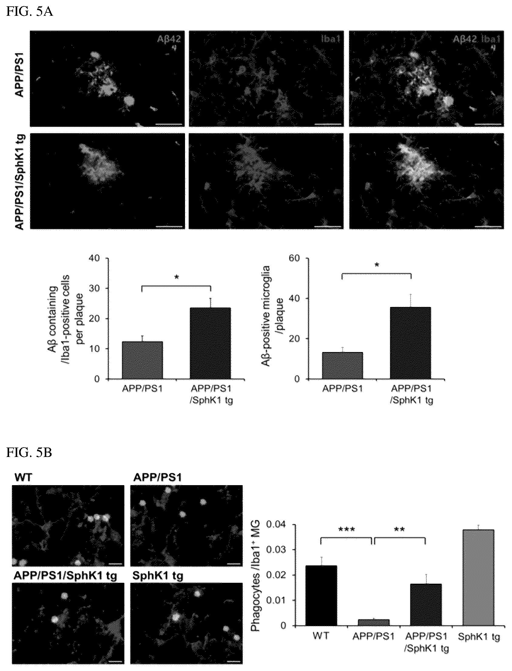 Patent US12306191 Figure 12 – Composition for diagnosis of degenerative neurological diseases