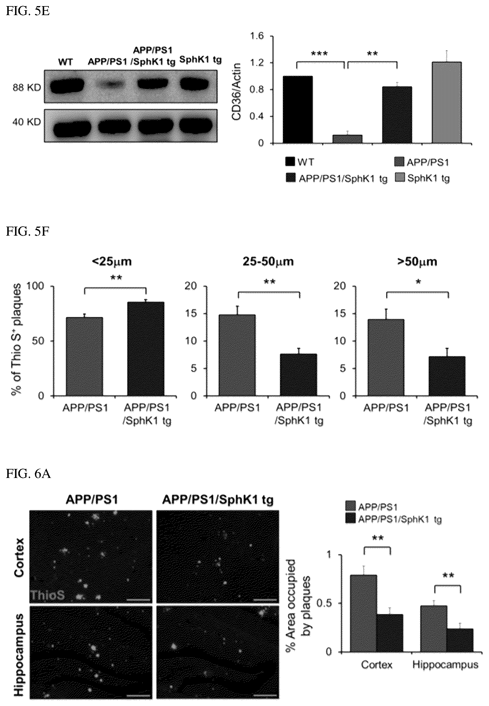 Patent US12306191 Figure 15 – Composition for diagnosis of degenerative neurological diseases