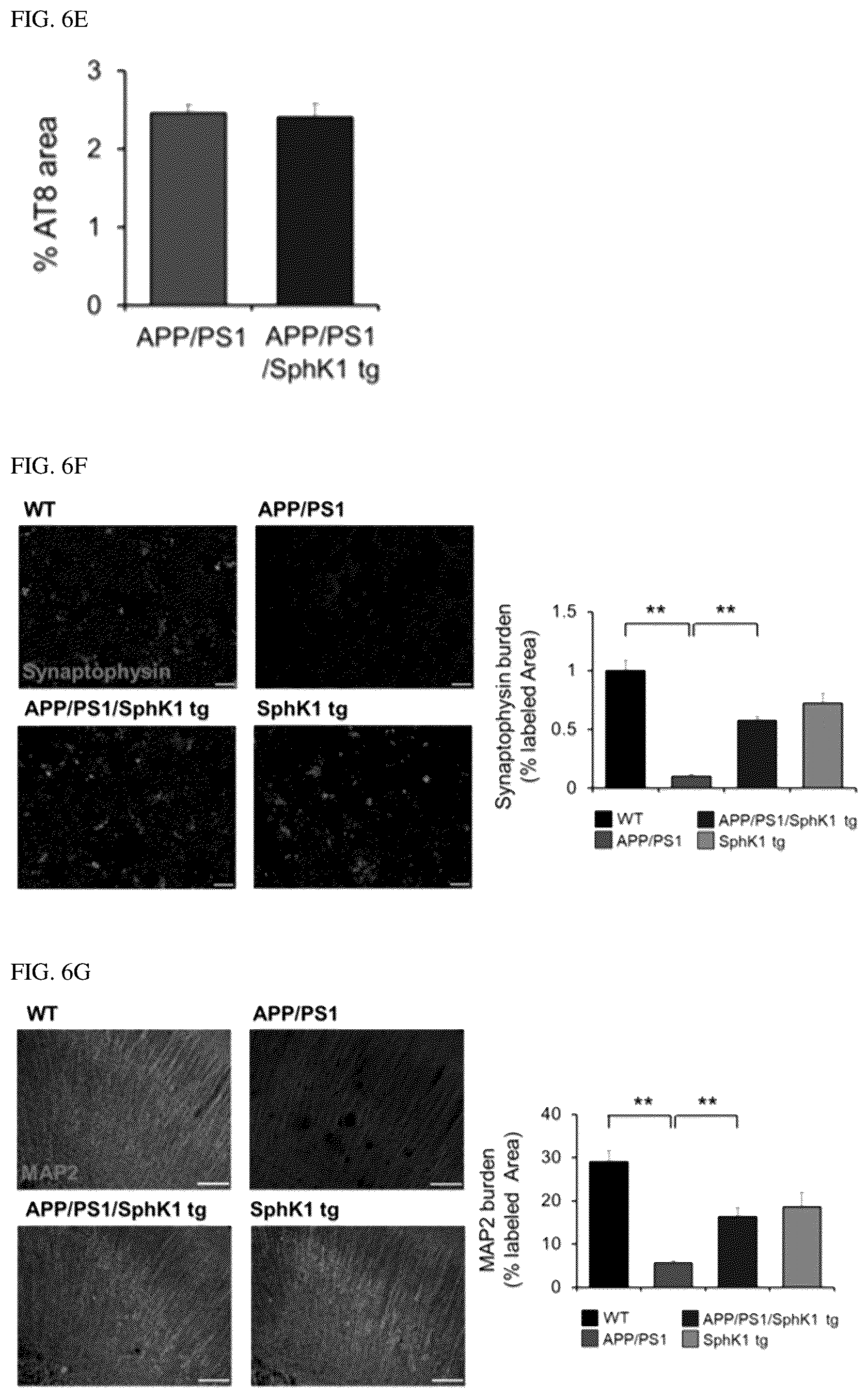 Patent US12306191 Figure 17 – Composition for diagnosis of degenerative neurological diseases