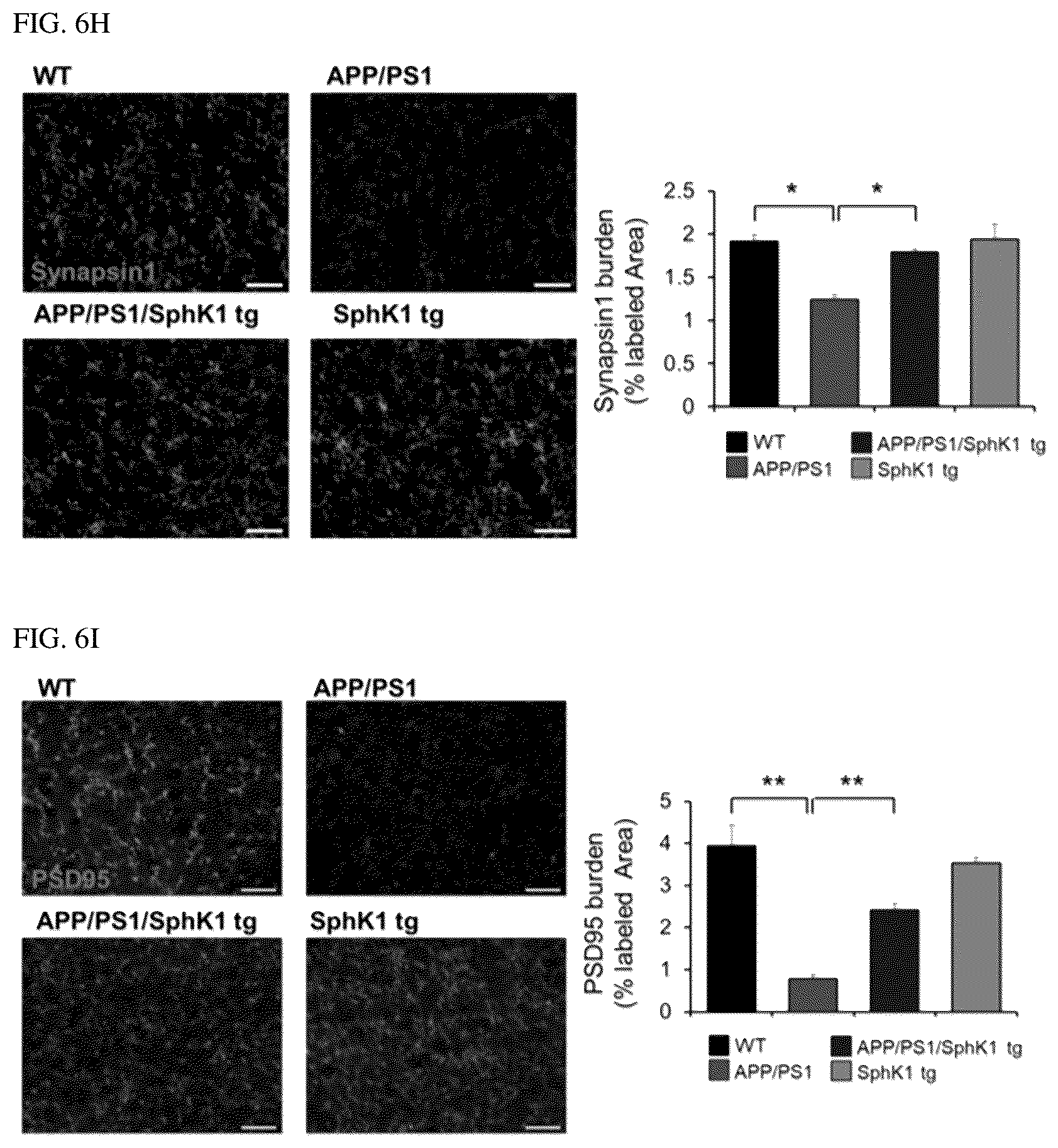 Patent US12306191 Figure 18 – Composition for diagnosis of degenerative neurological diseases