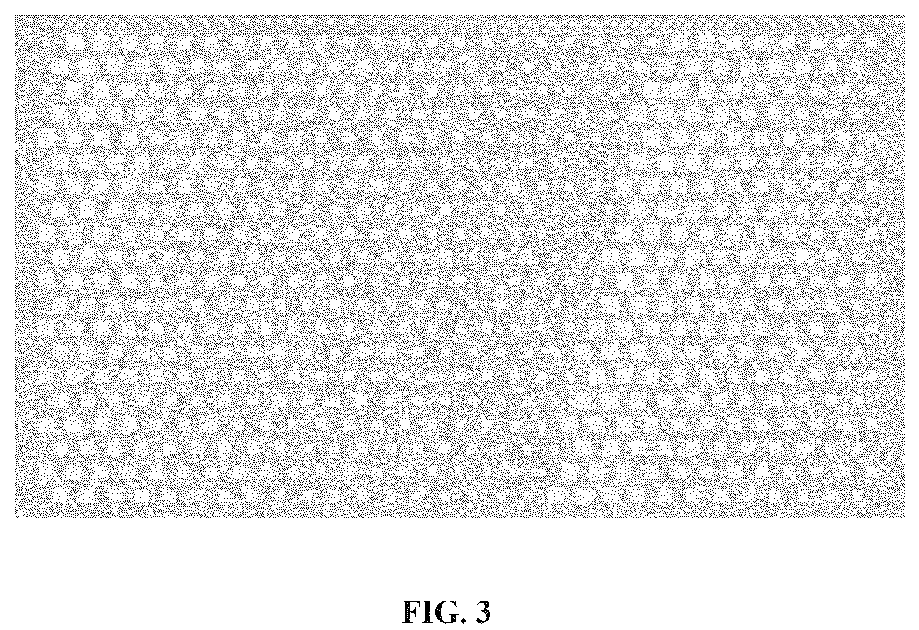 Patent US12306424 Figure 3 – Metasurface-based imaging system, design method, and detector