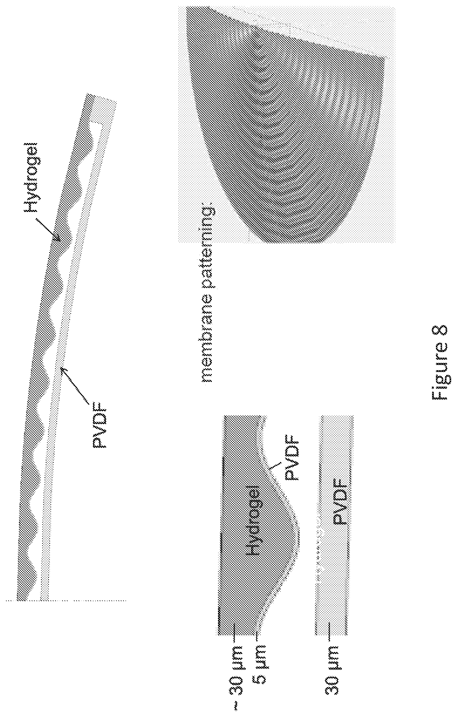 Patent US12306475 Figure 8 – Fluidic module for accommodating soft contact lens