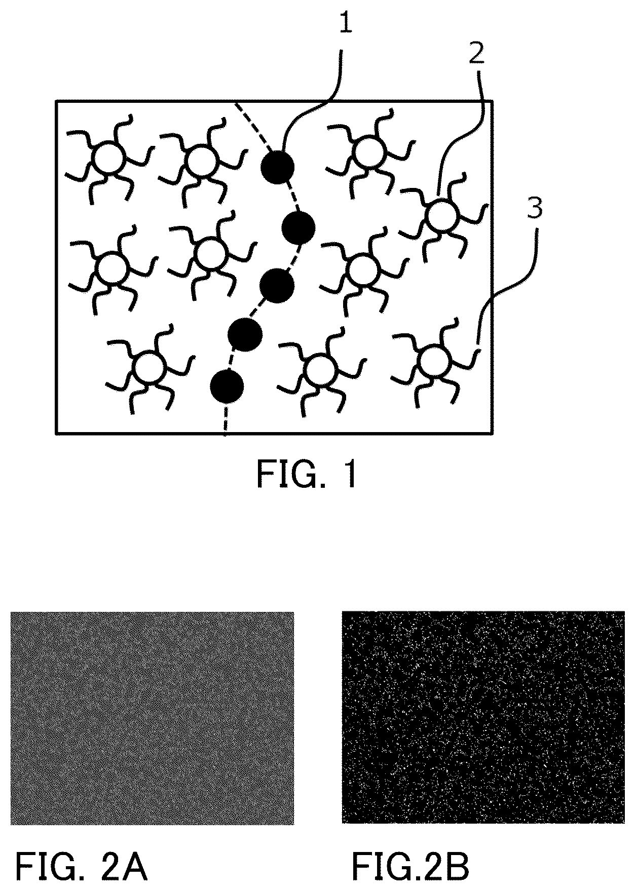 Patent US12306560 Figure 1 – Electrophotographic member and electrophotographic image forming apparatus