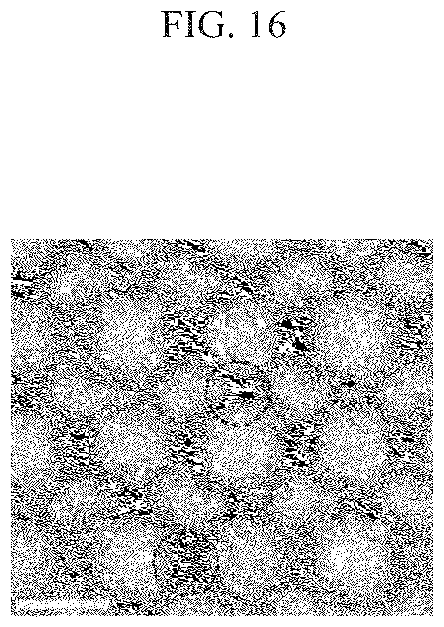 Patent US12307037 Figure 16 – Display device
