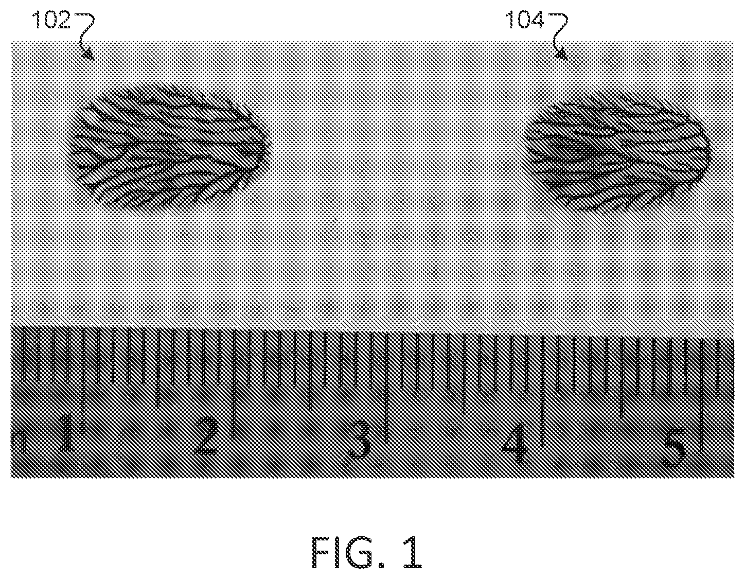 Patent US12307323 Figure 1 – Authentication of identifiers by light scattering