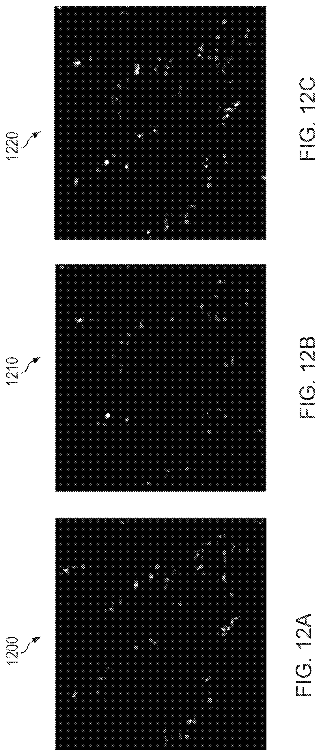 Patent US12307323 Figure 10 – Authentication of identifiers by light scattering