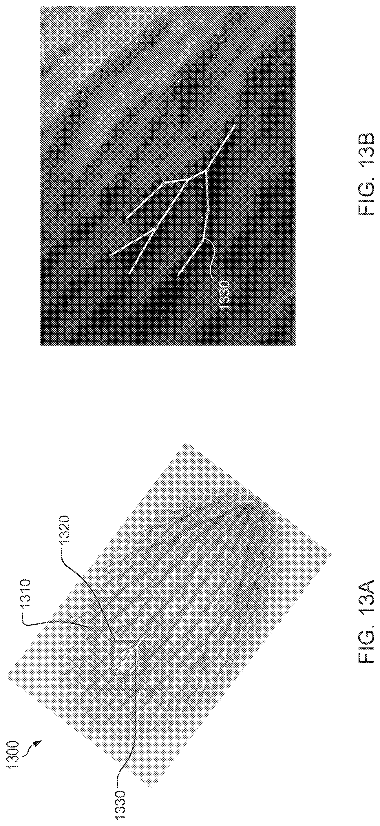 Patent US12307323 Figure 11 – Authentication of identifiers by light scattering