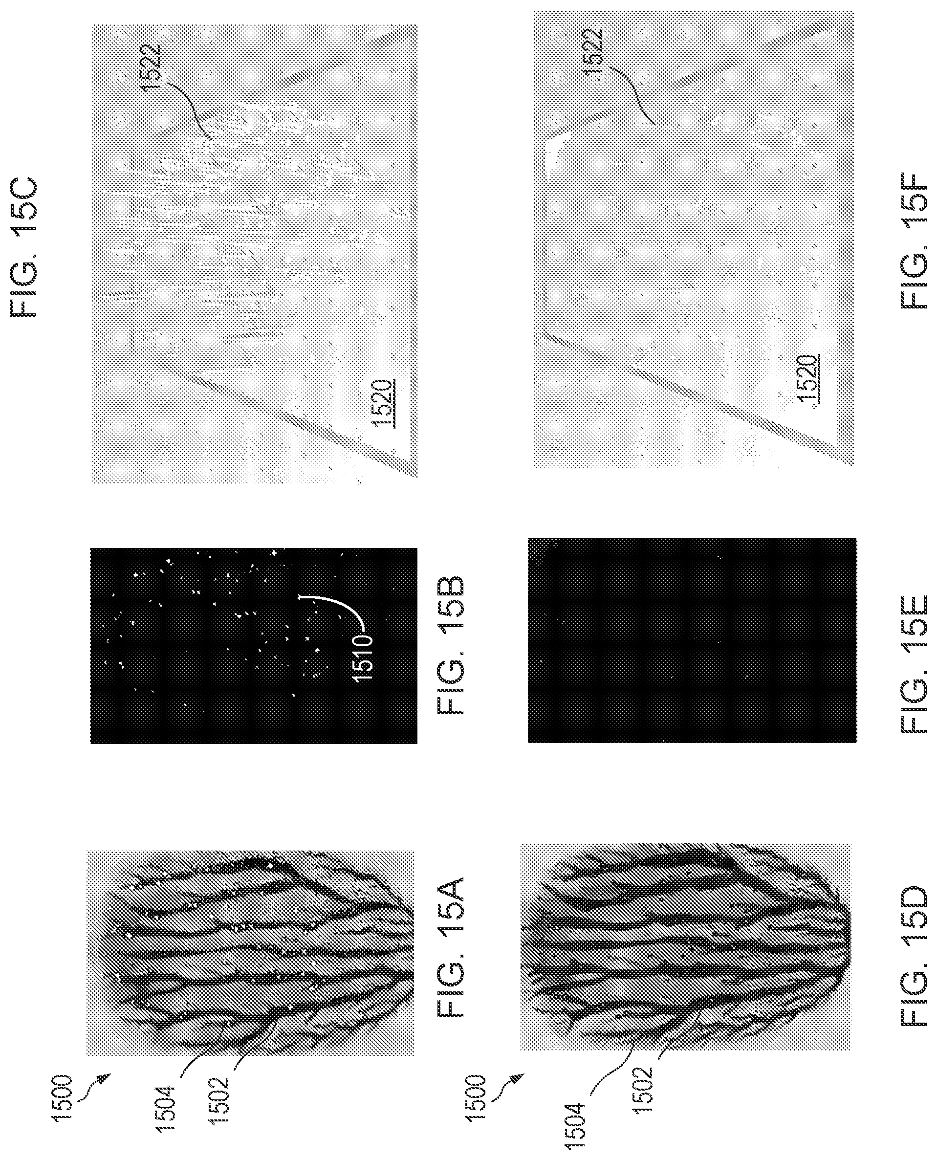 Patent US12307323 Figure 13 – Authentication of identifiers by light scattering