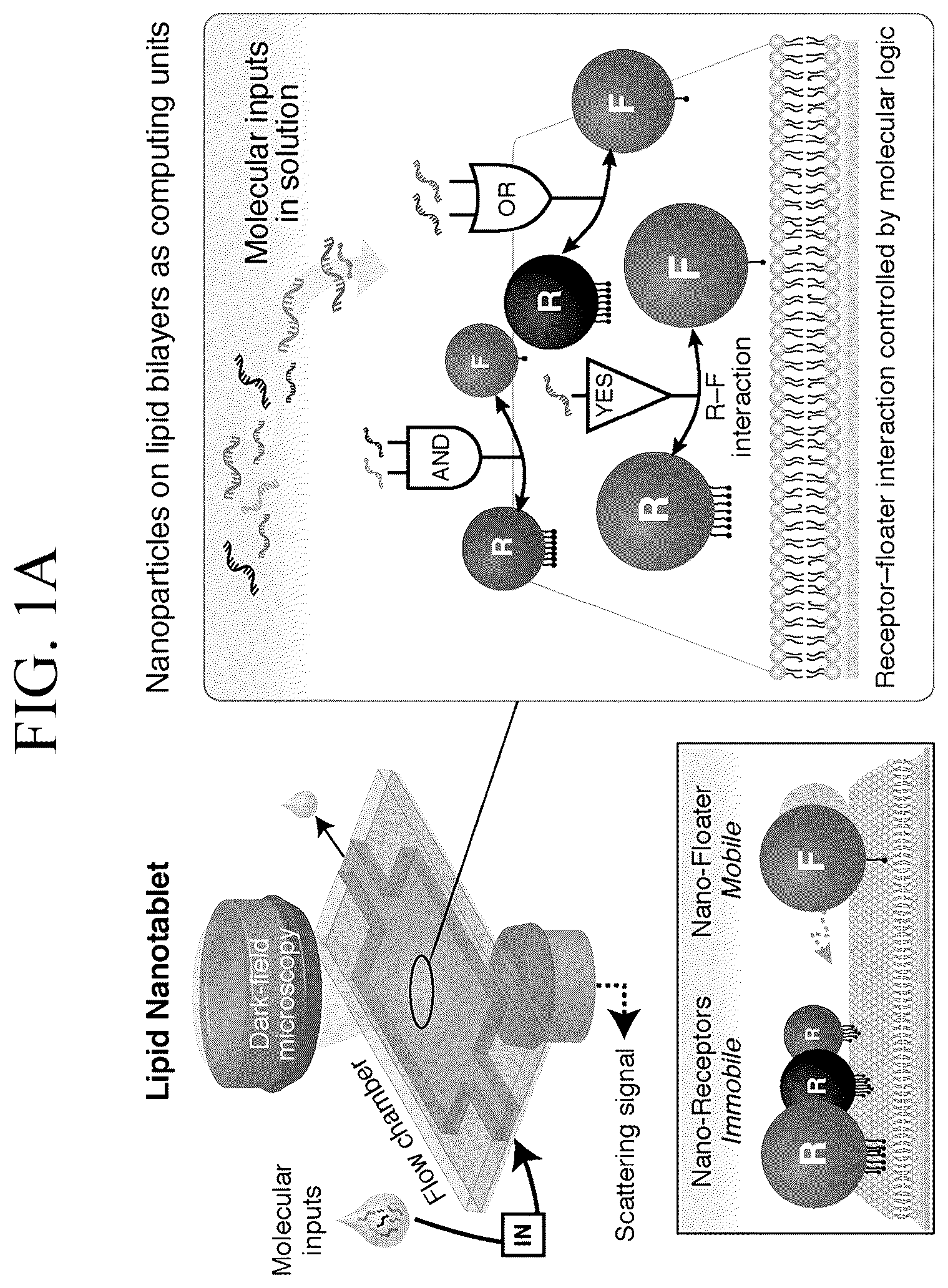 Patent US12307346 Figure 1 – Lipid nanotablet