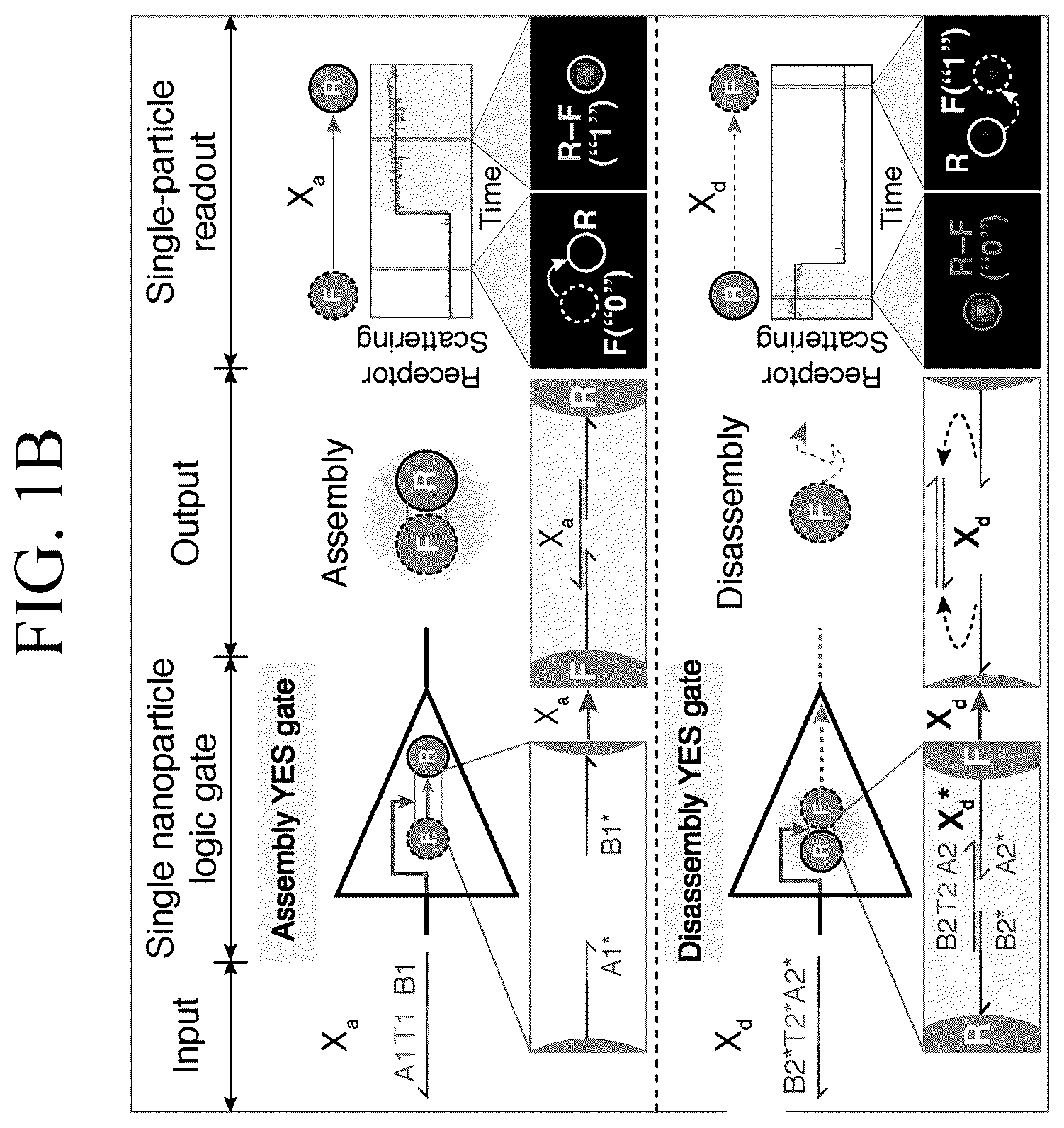 Patent US12307346 Figure 2 – Lipid nanotablet
