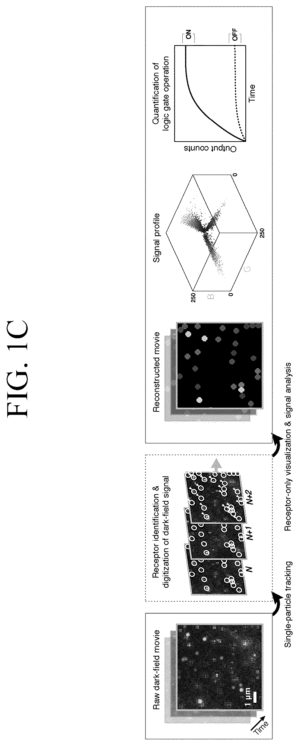 Patent US12307346 Figure 3 – Lipid nanotablet