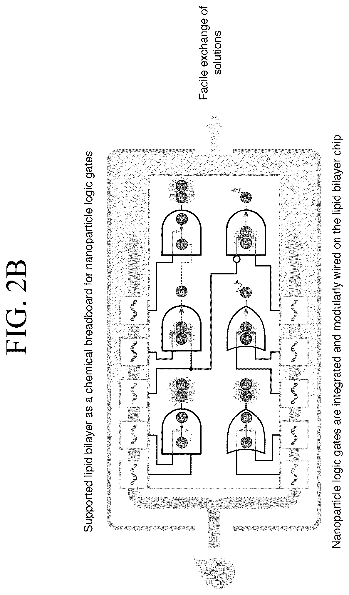 Patent US12307346 Figure 5 – Lipid nanotablet