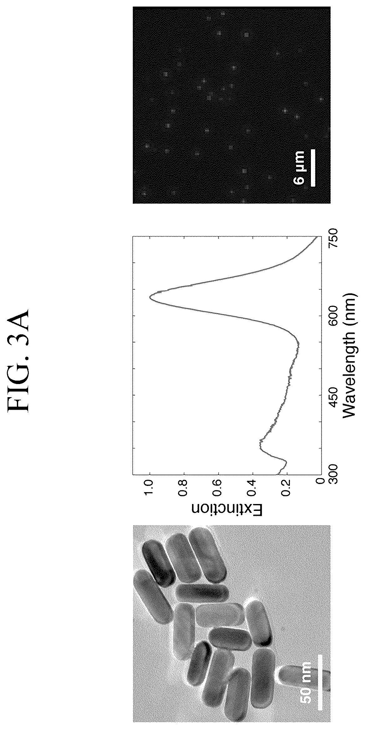 Patent US12307346 Figure 6 – Lipid nanotablet