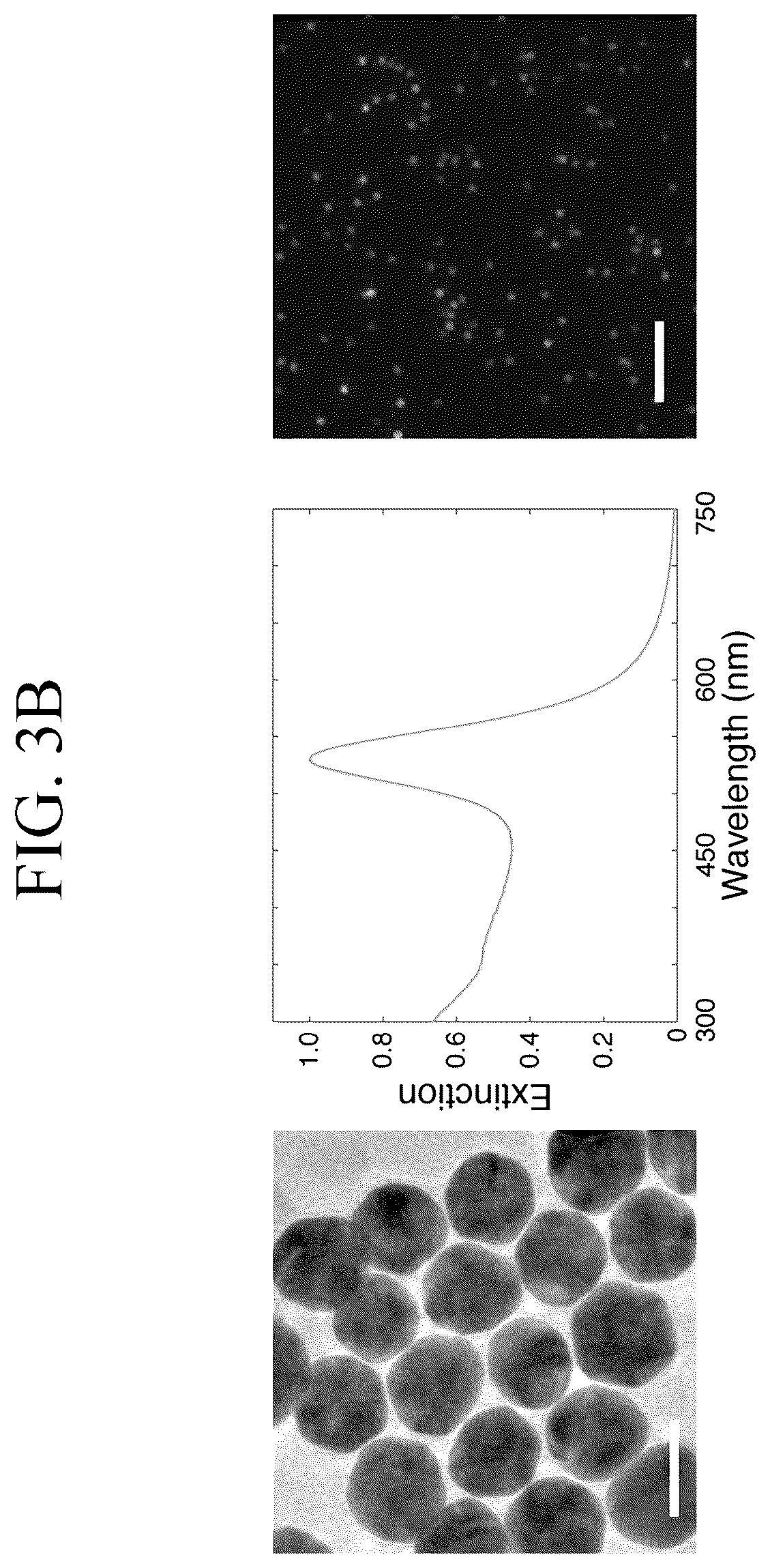 Patent US12307346 Figure 7 – Lipid nanotablet