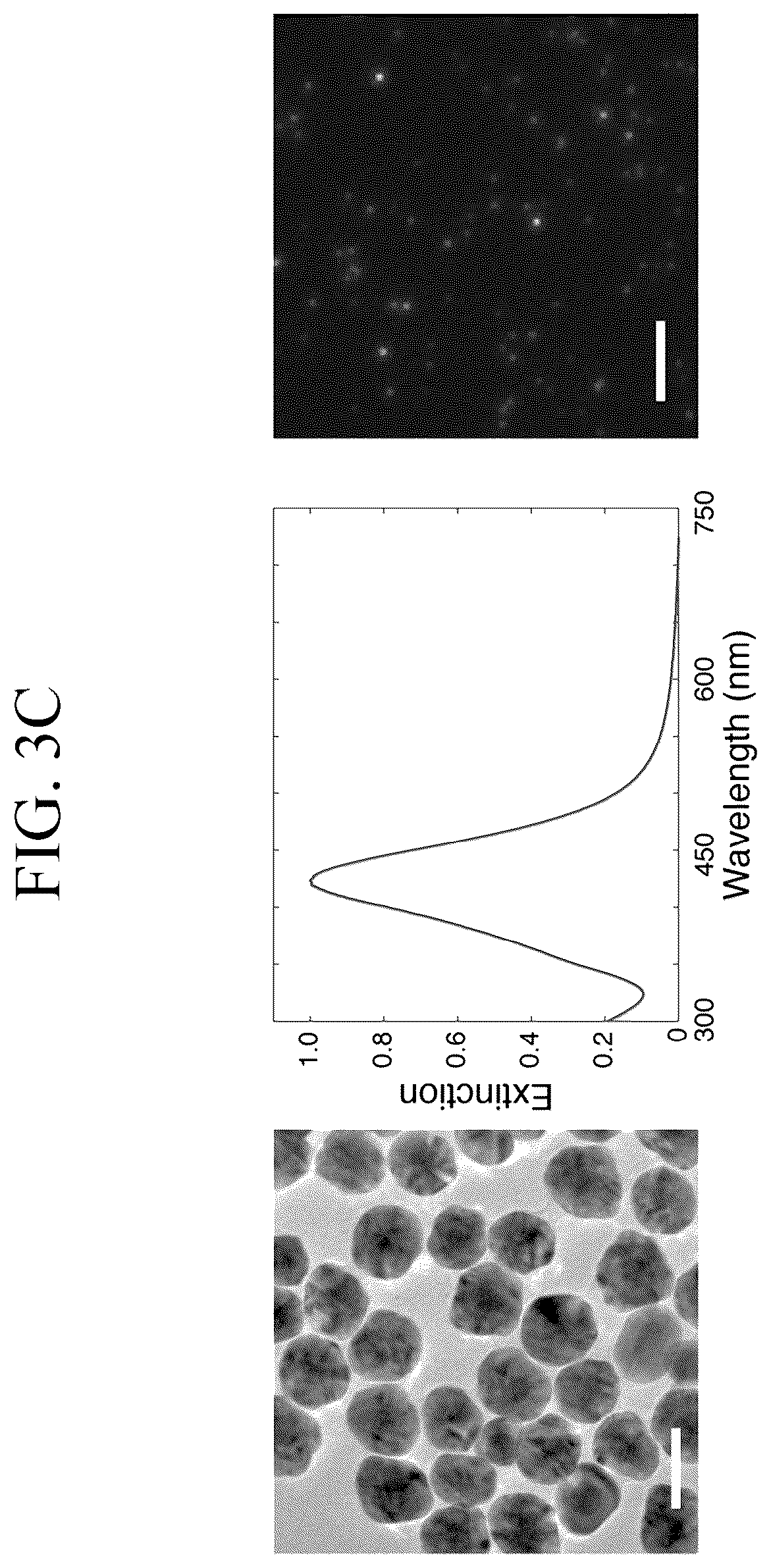 Patent US12307346 Figure 8 – Lipid nanotablet