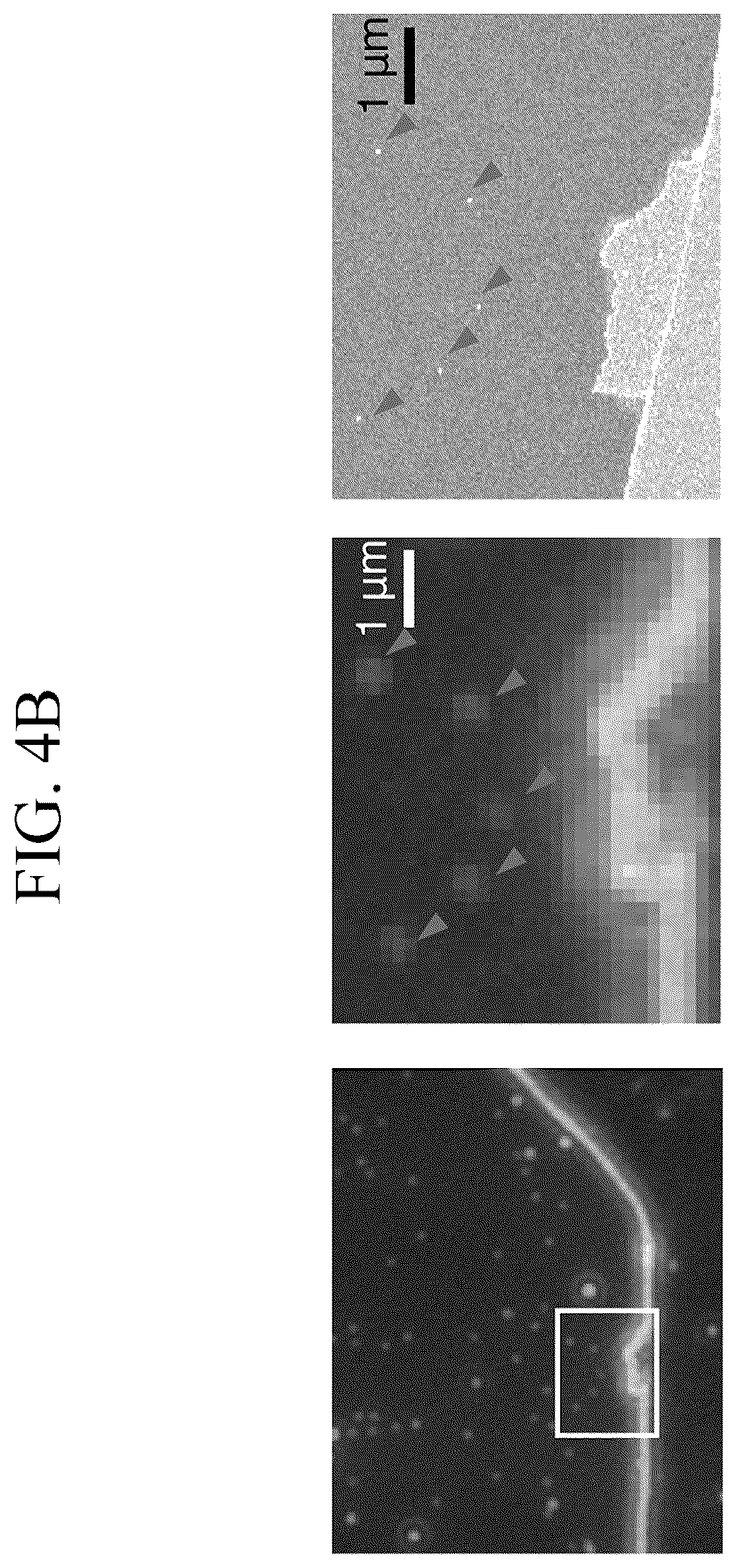 Patent US12307346 Figure 10 – Lipid nanotablet